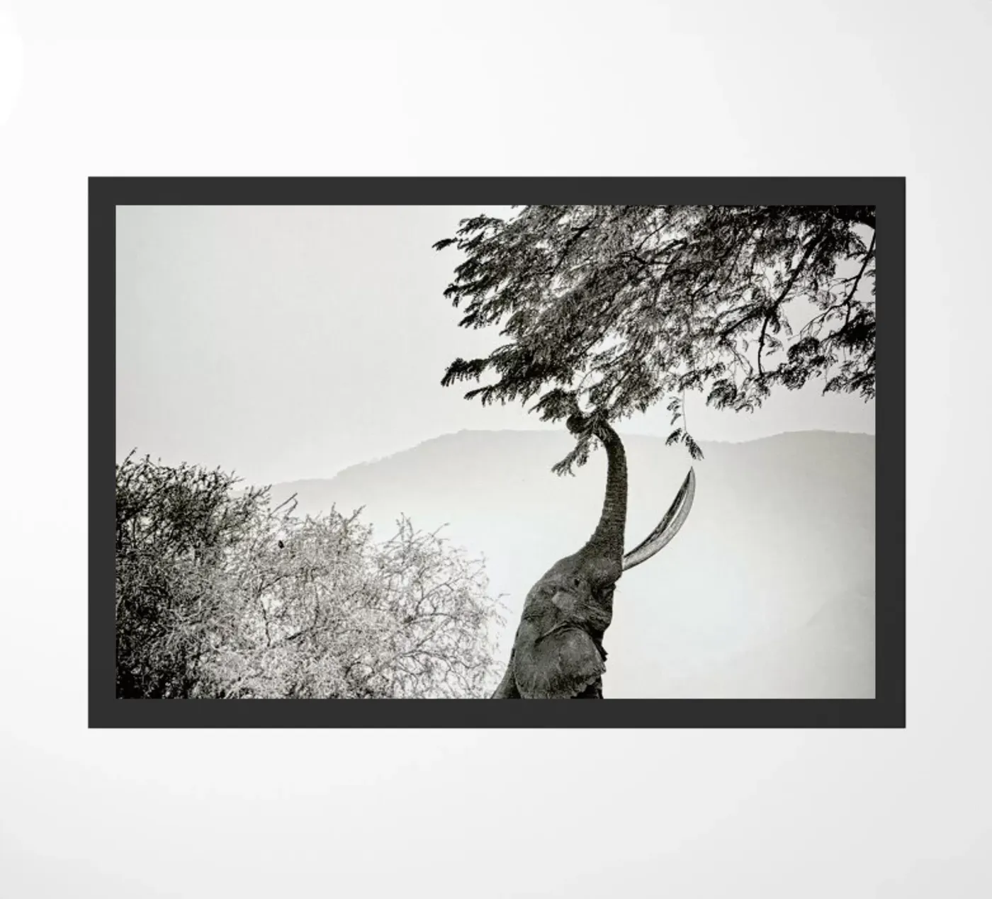 Within Reach doormat by Natural Kingdom