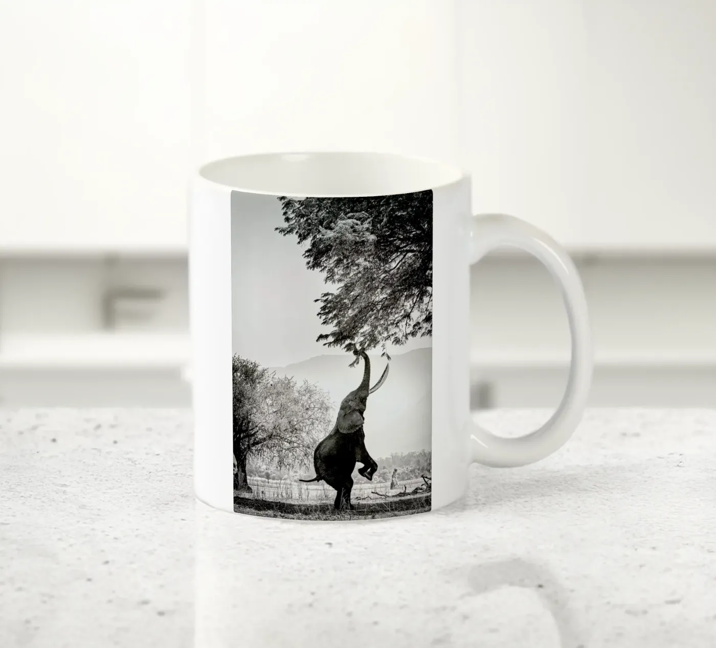 Within Reach ceramic mug by Natural Kingdom