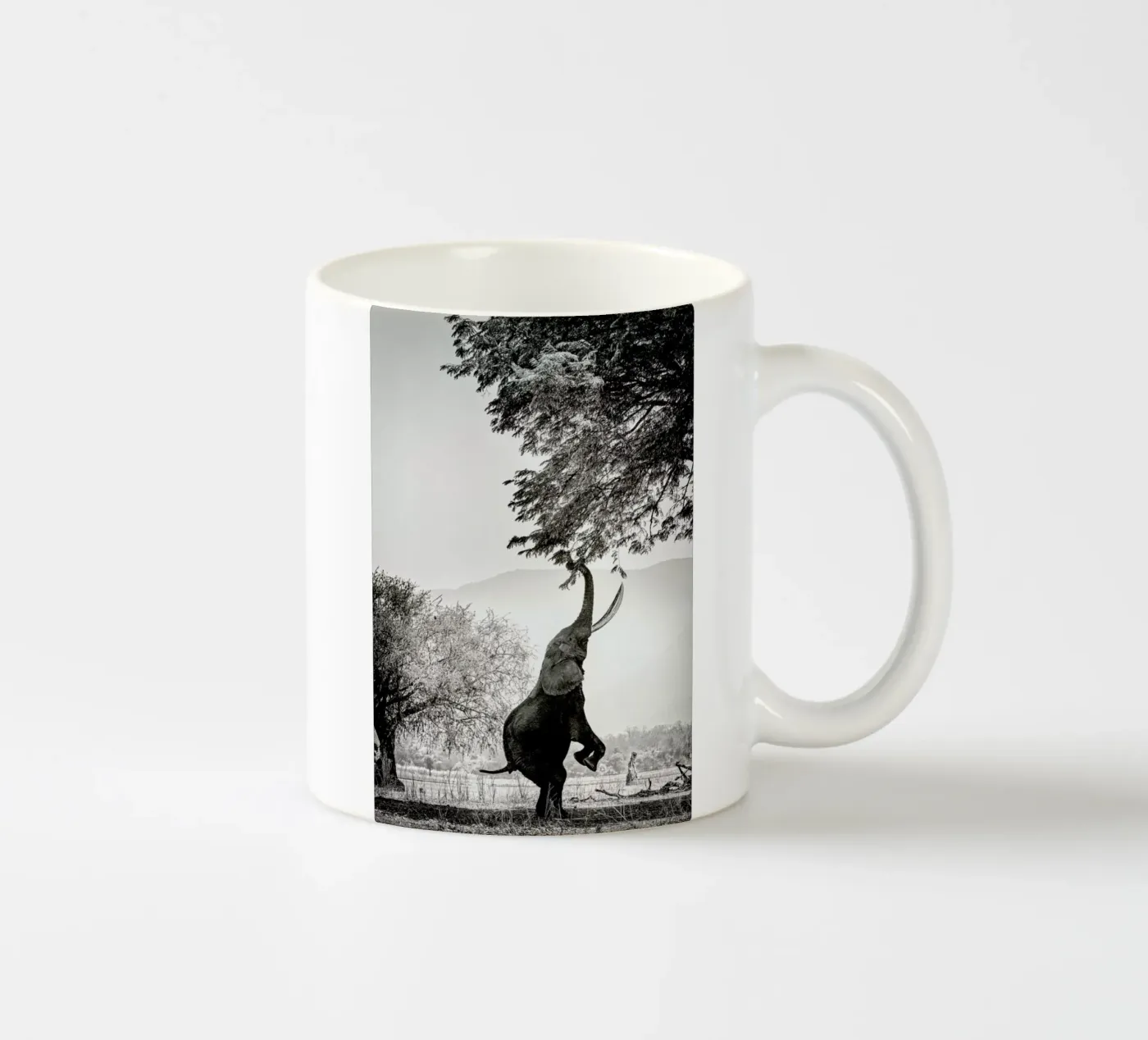 Within Reach ceramic mug by Natural Kingdom