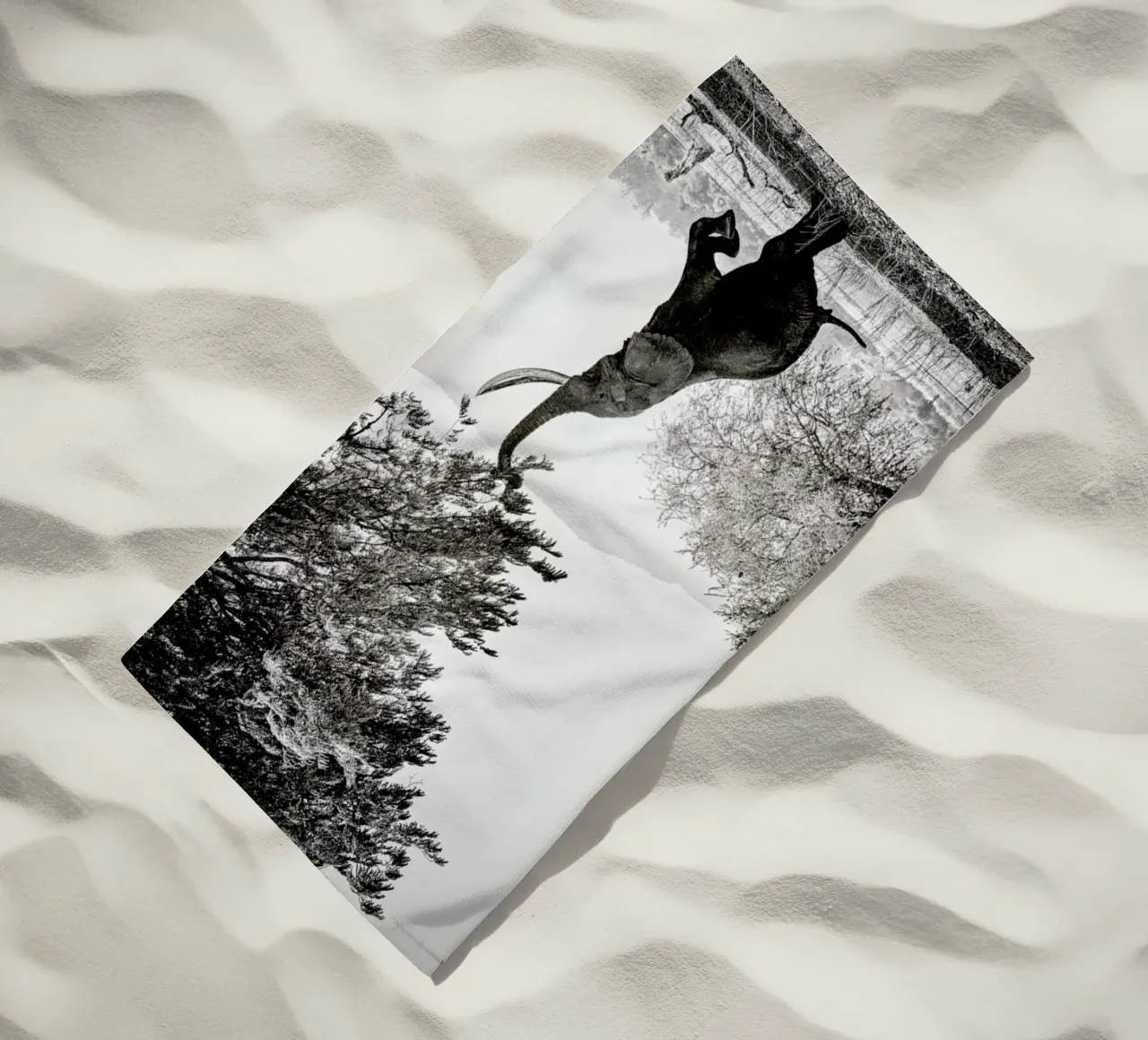 Within Reach telo mare da Natural Kingdom