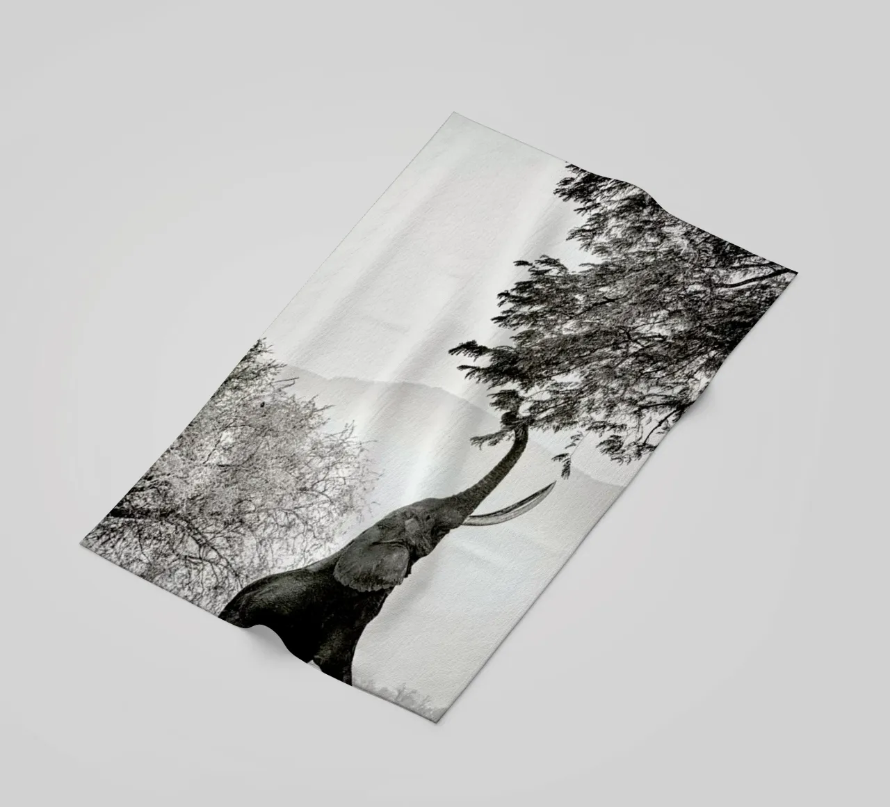 Within Reach telo mare da Natural Kingdom