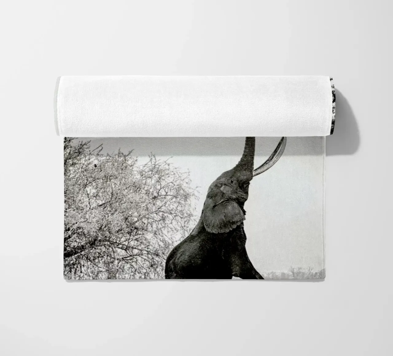 Within Reach telo mare da Natural Kingdom