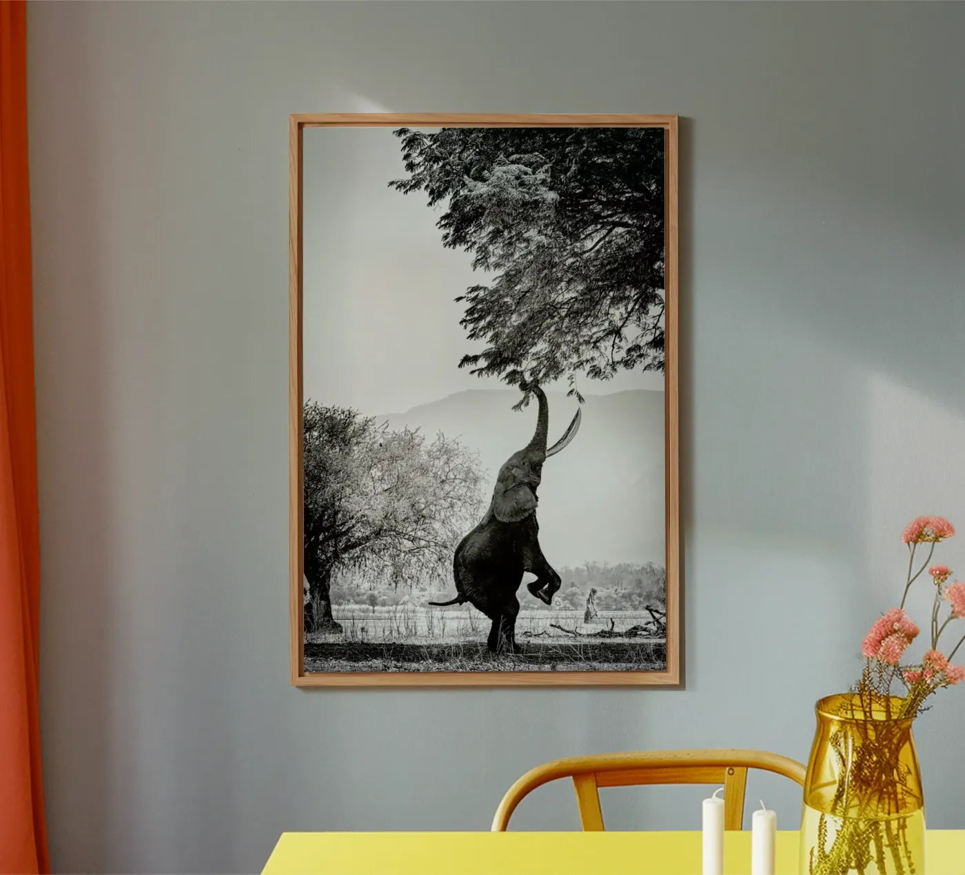 Within Reach alluminio dibond da Natural Kingdom