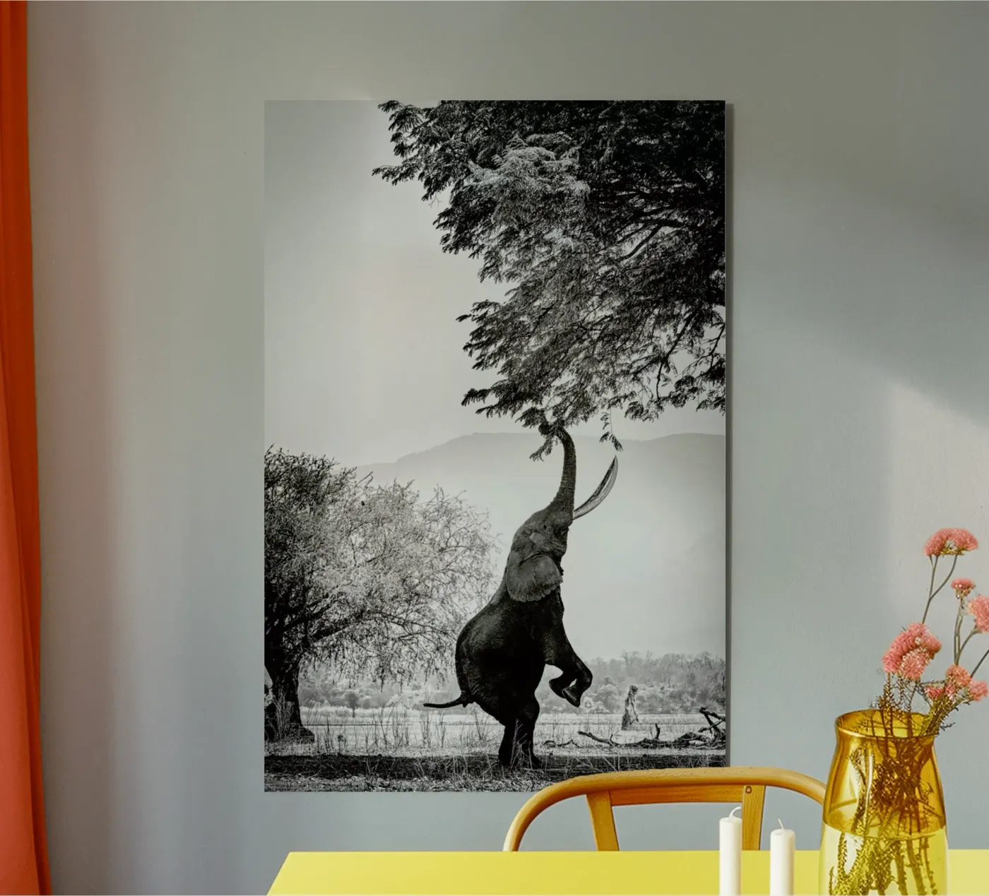 Within Reach alluminio dibond da Natural Kingdom