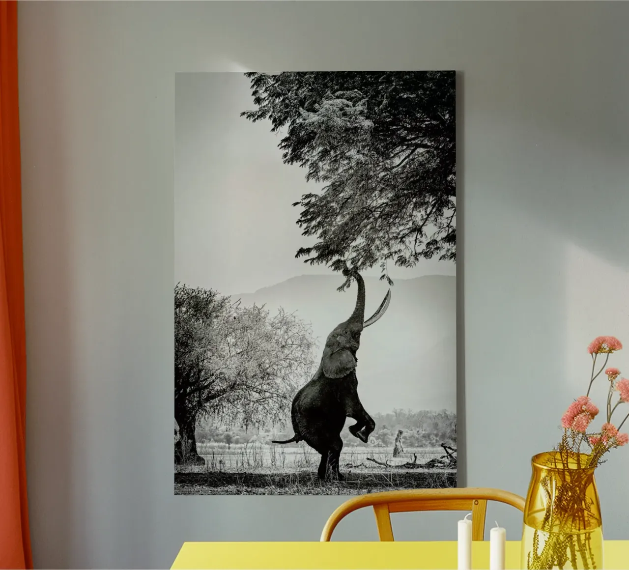 Within Reach canvas with Floater frame by Natural Kingdom