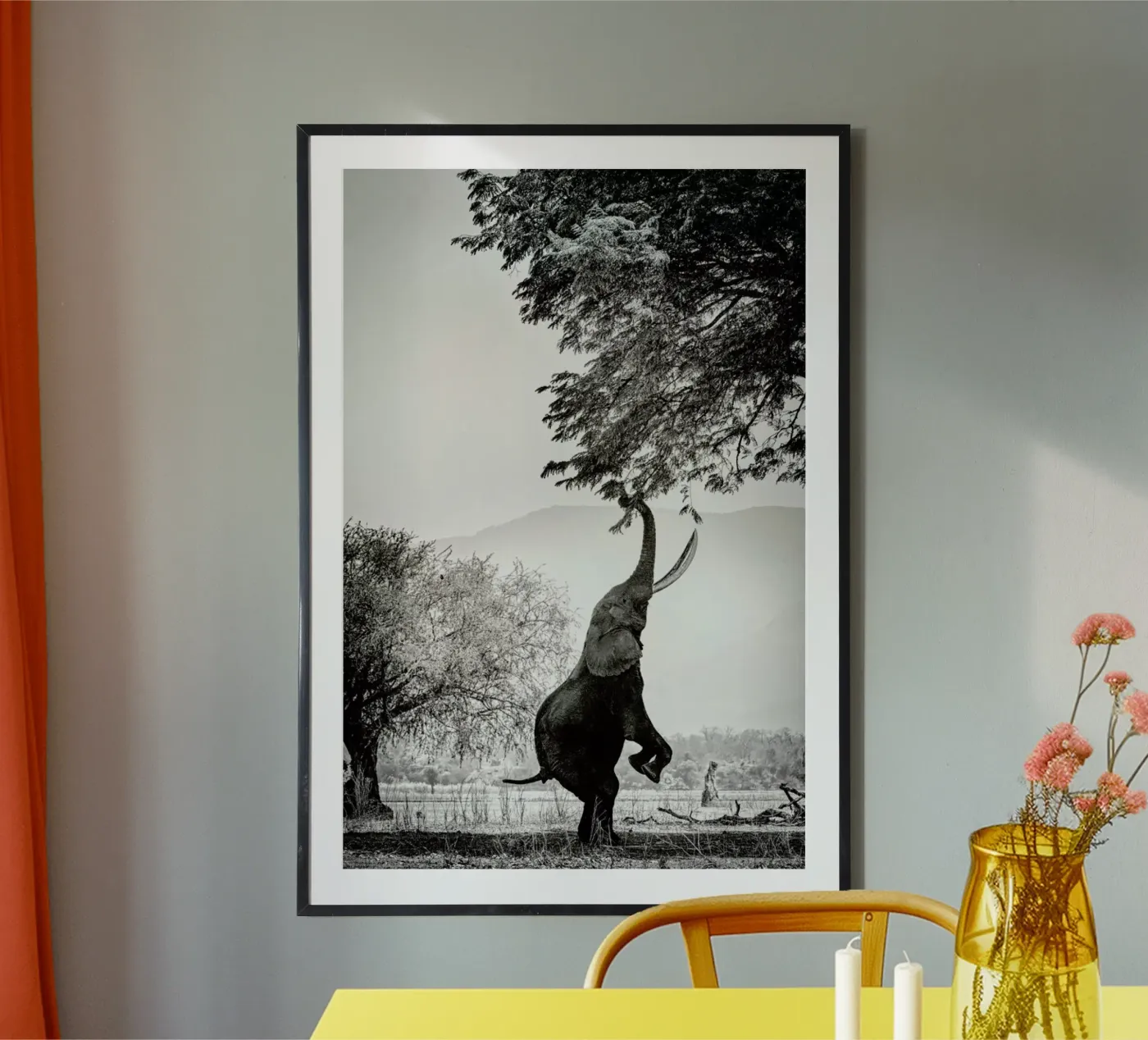 Within Reach poster da Natural Kingdom