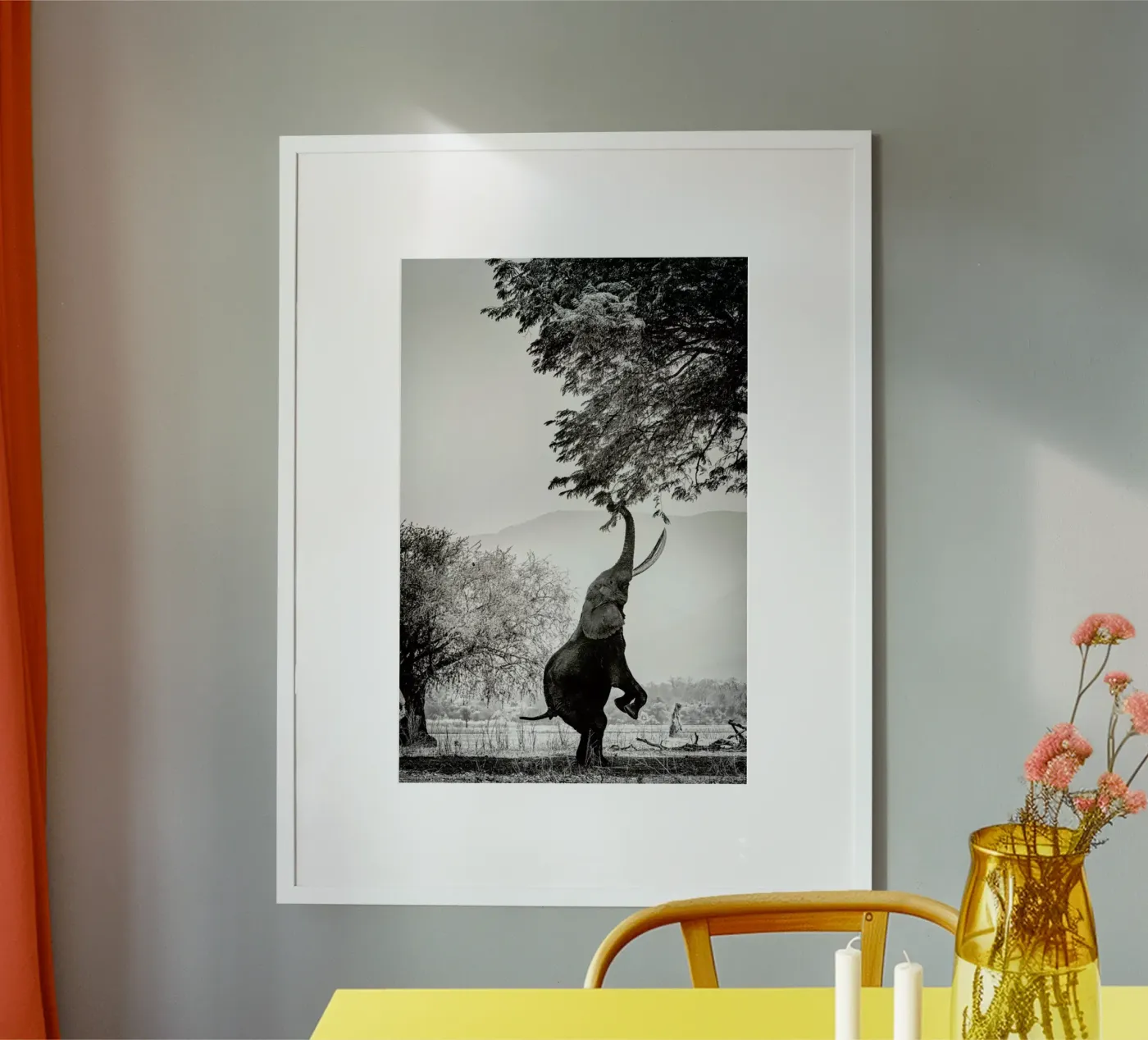 Within Reach poster da Natural Kingdom