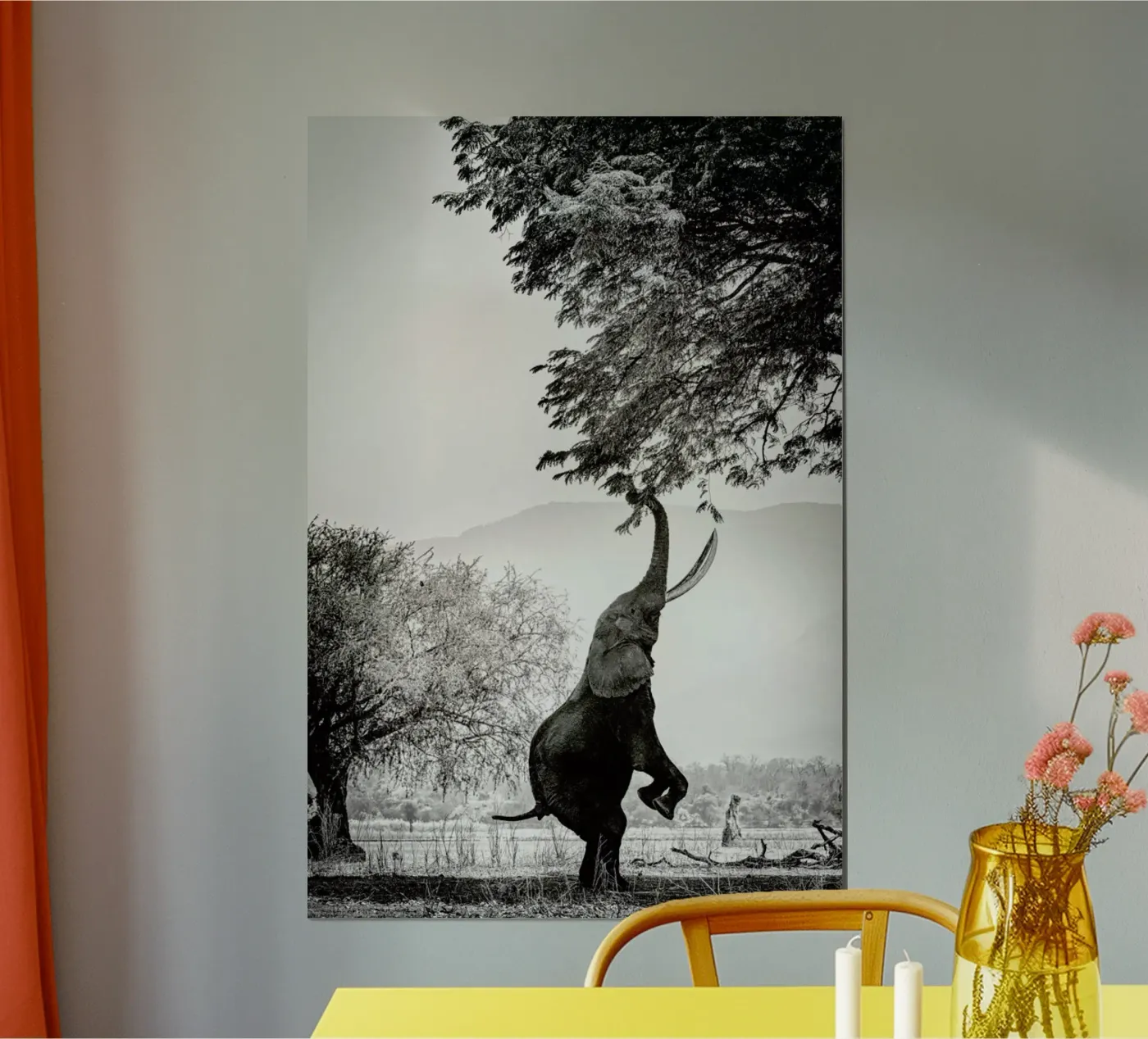 Within Reach poster da Natural Kingdom