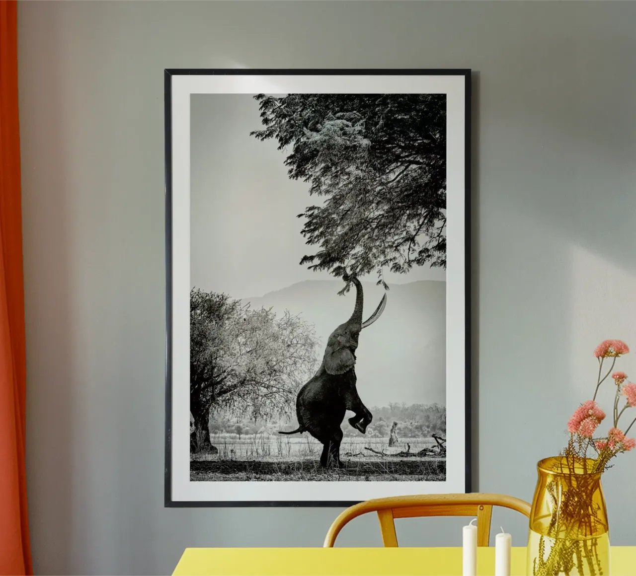 Within Reach poster da Natural Kingdom