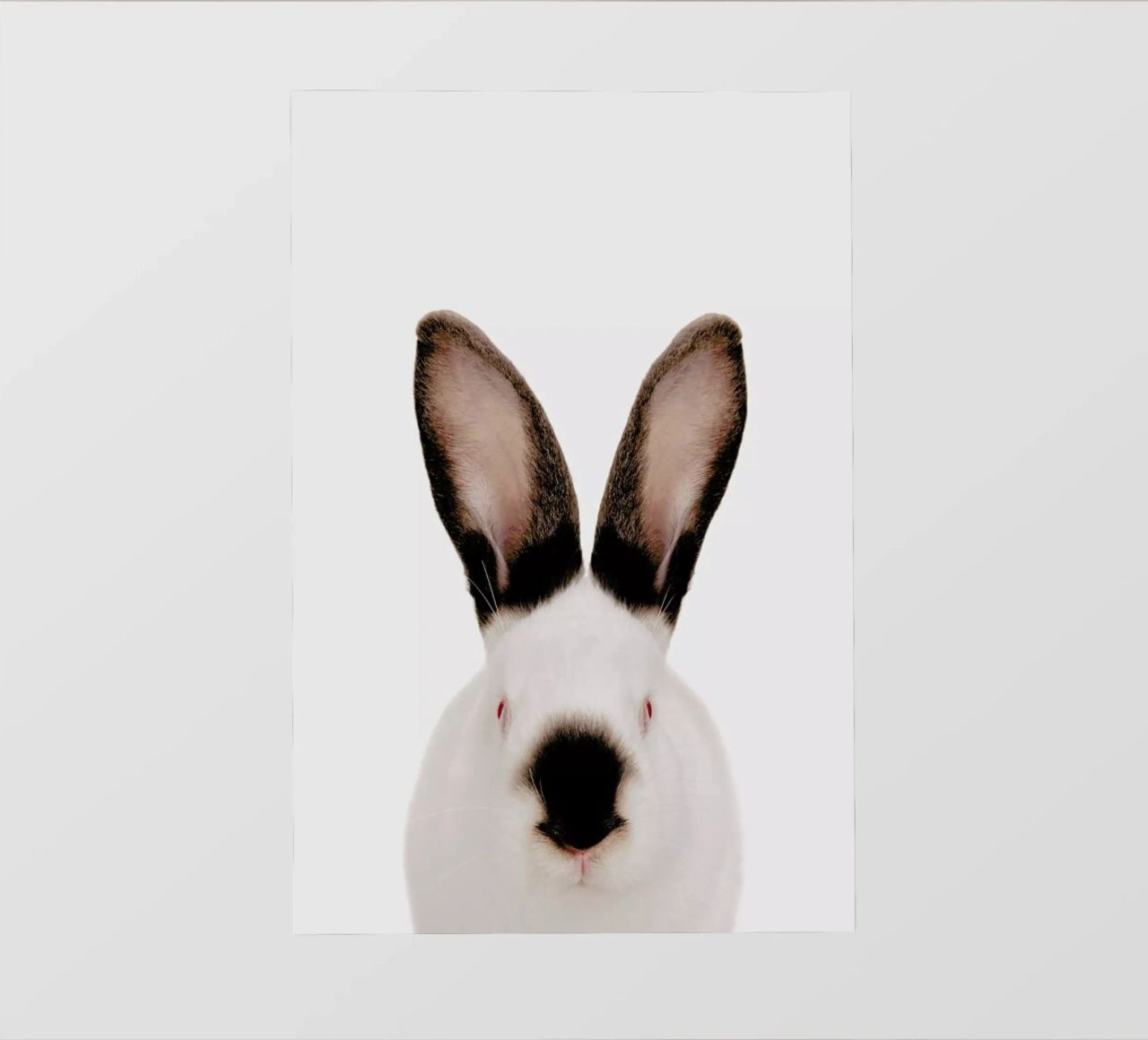 Rabbit telo in pvc da Paws & Claws