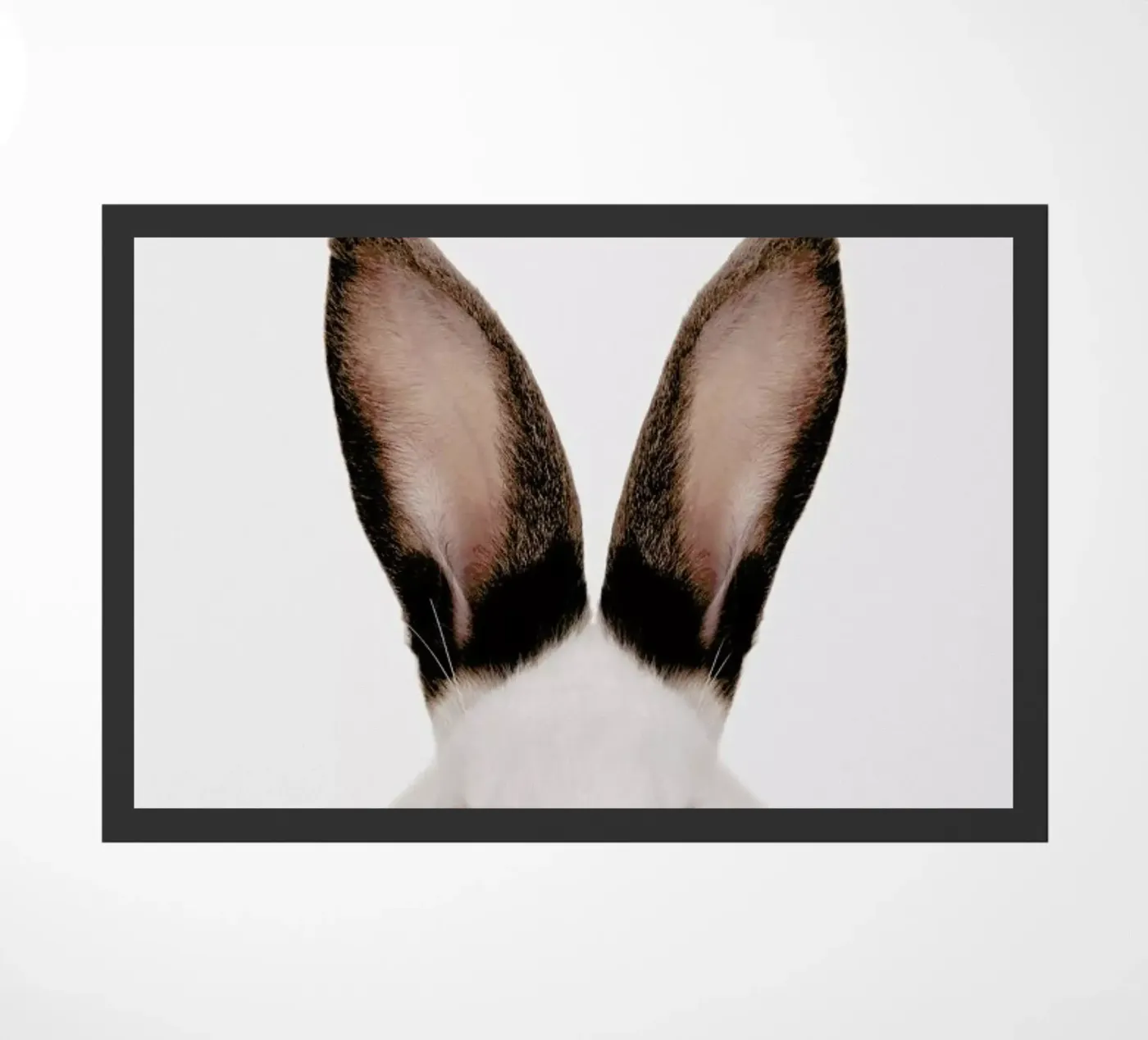 Rabbit zerbino da Paws & Claws