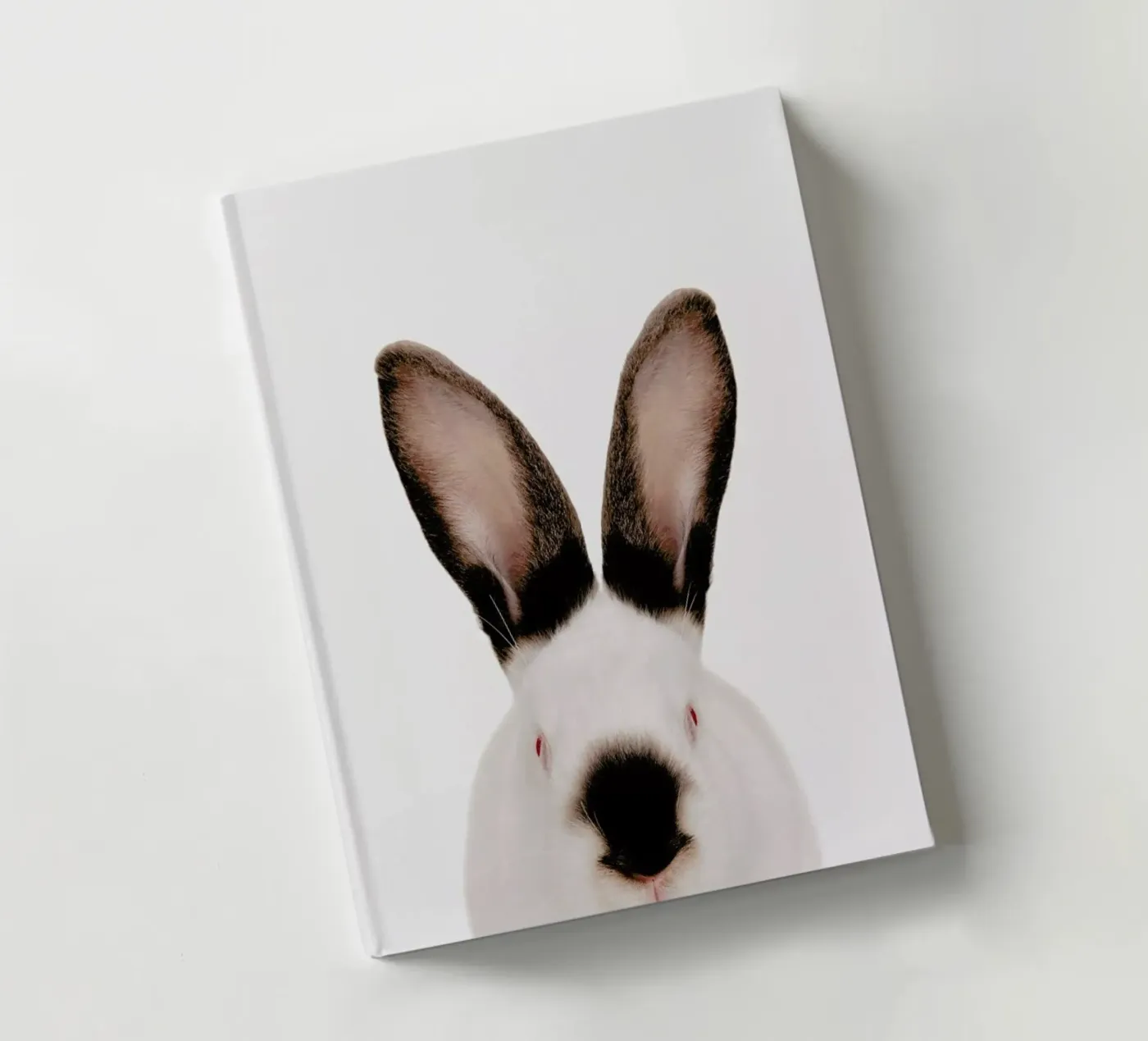 Rabbit notebook by Paws & Claws