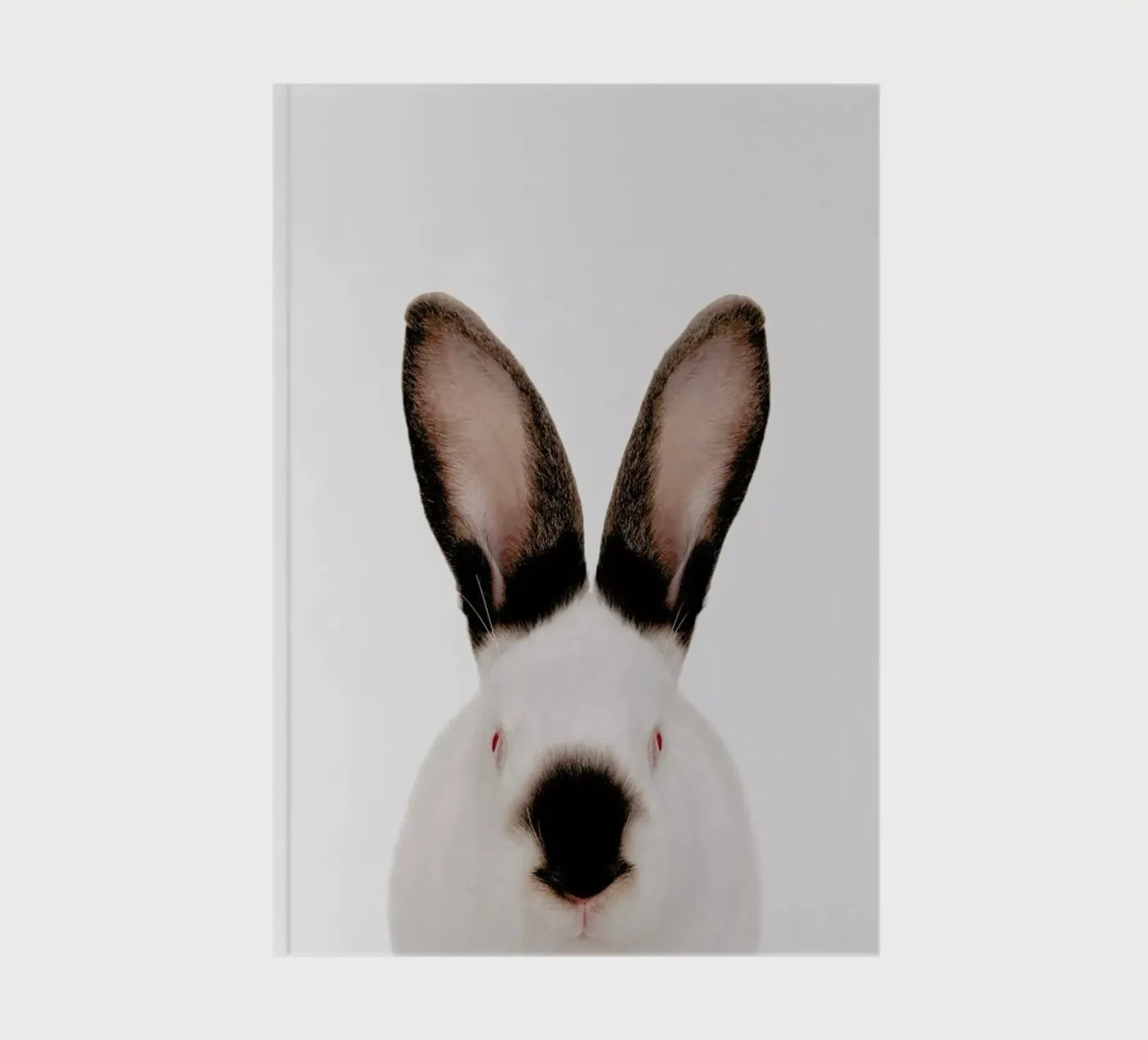 Rabbit notebook by Paws & Claws