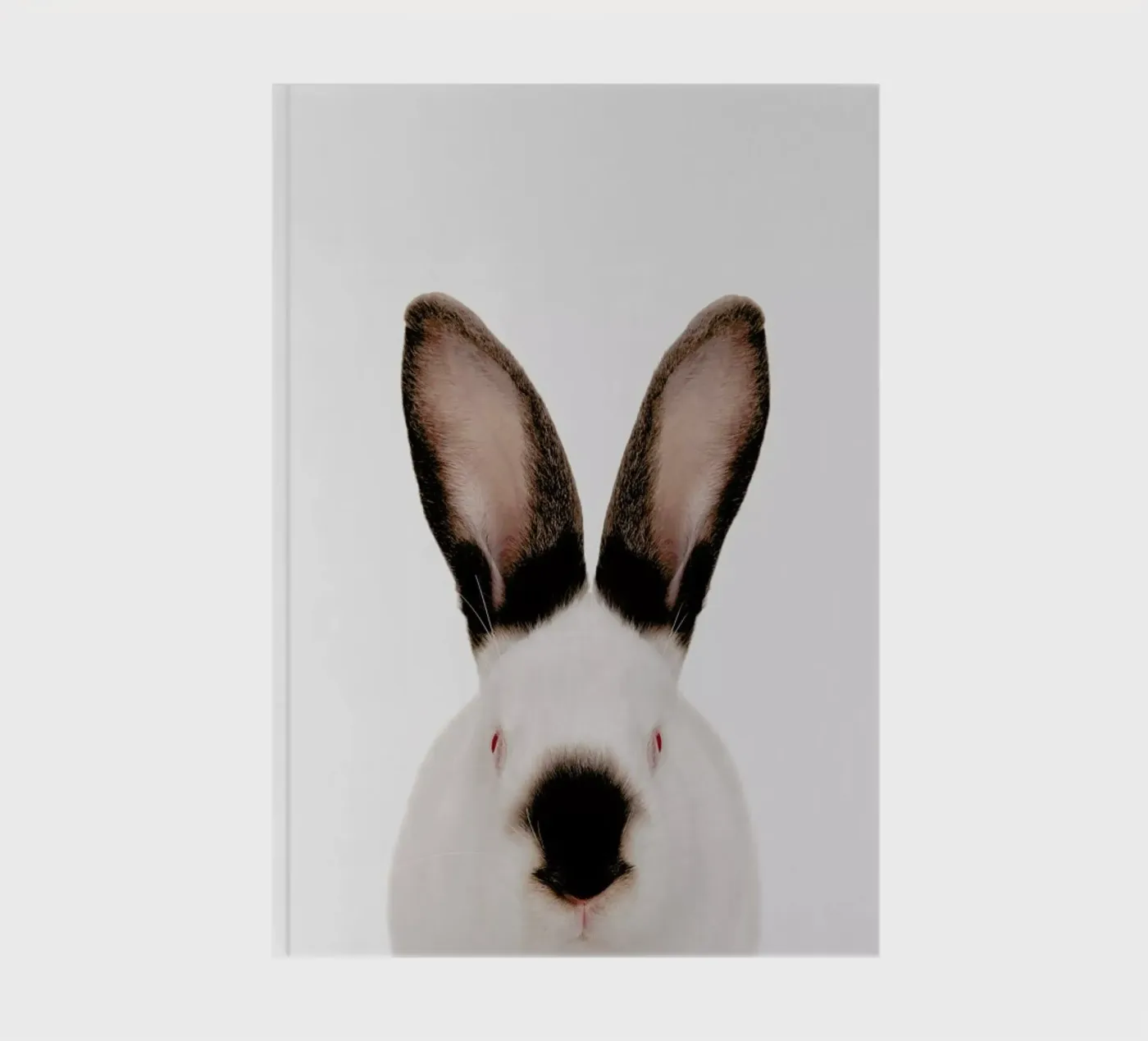 Rabbit notebook by Paws & Claws