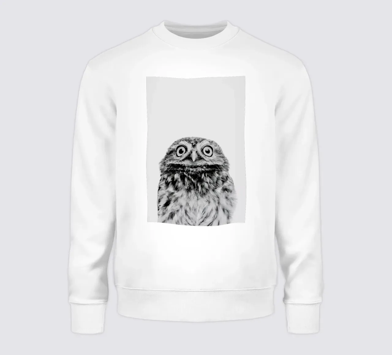 Owl Classic felpa da Paws & Claws
