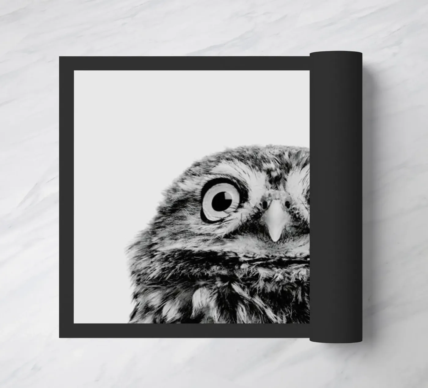 Owl Classic zerbino da Paws & Claws