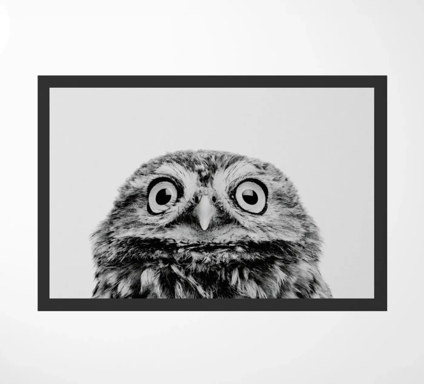 Owl Classic zerbino da Paws & Claws