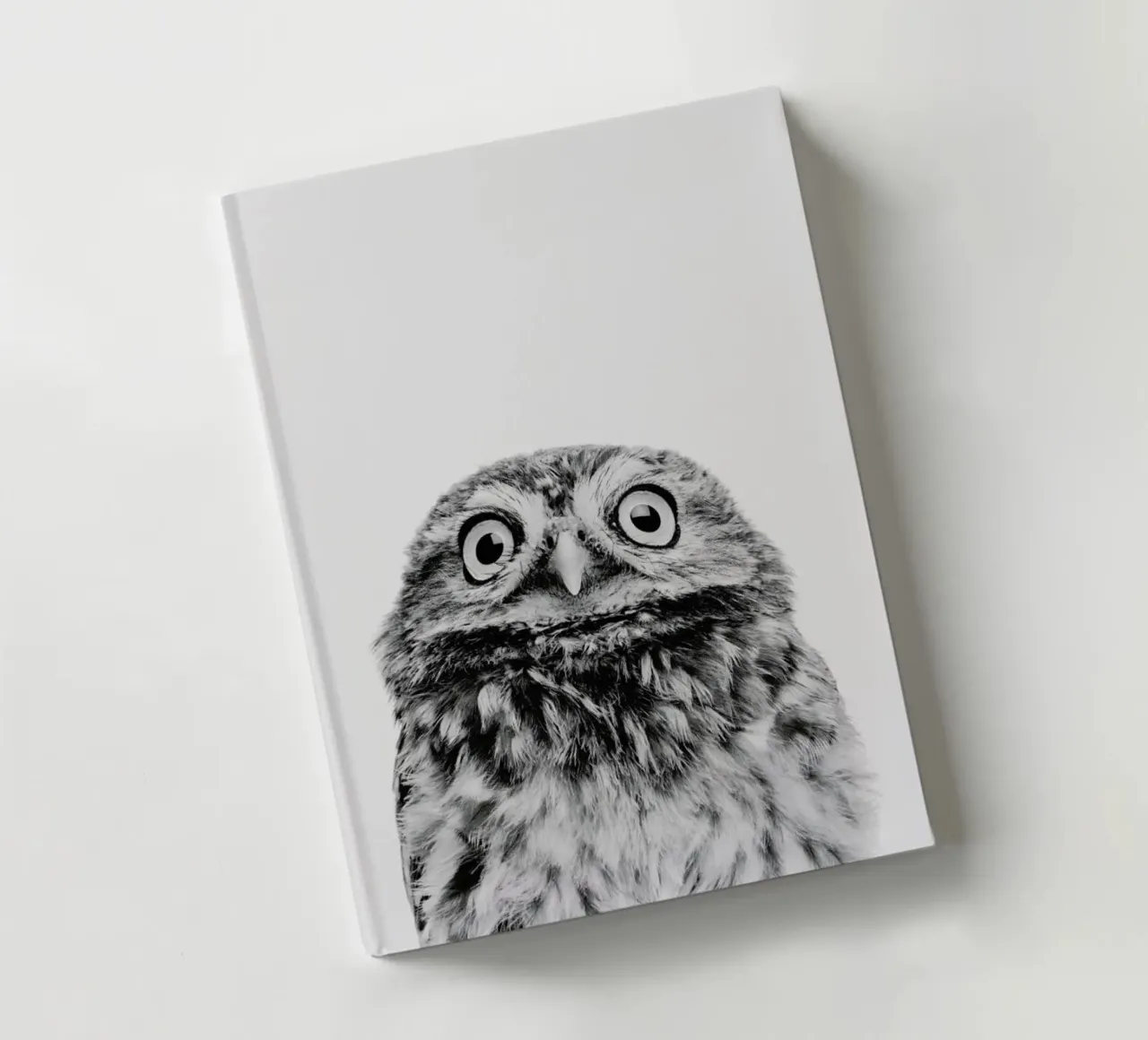 Owl Classic notebook by Paws & Claws