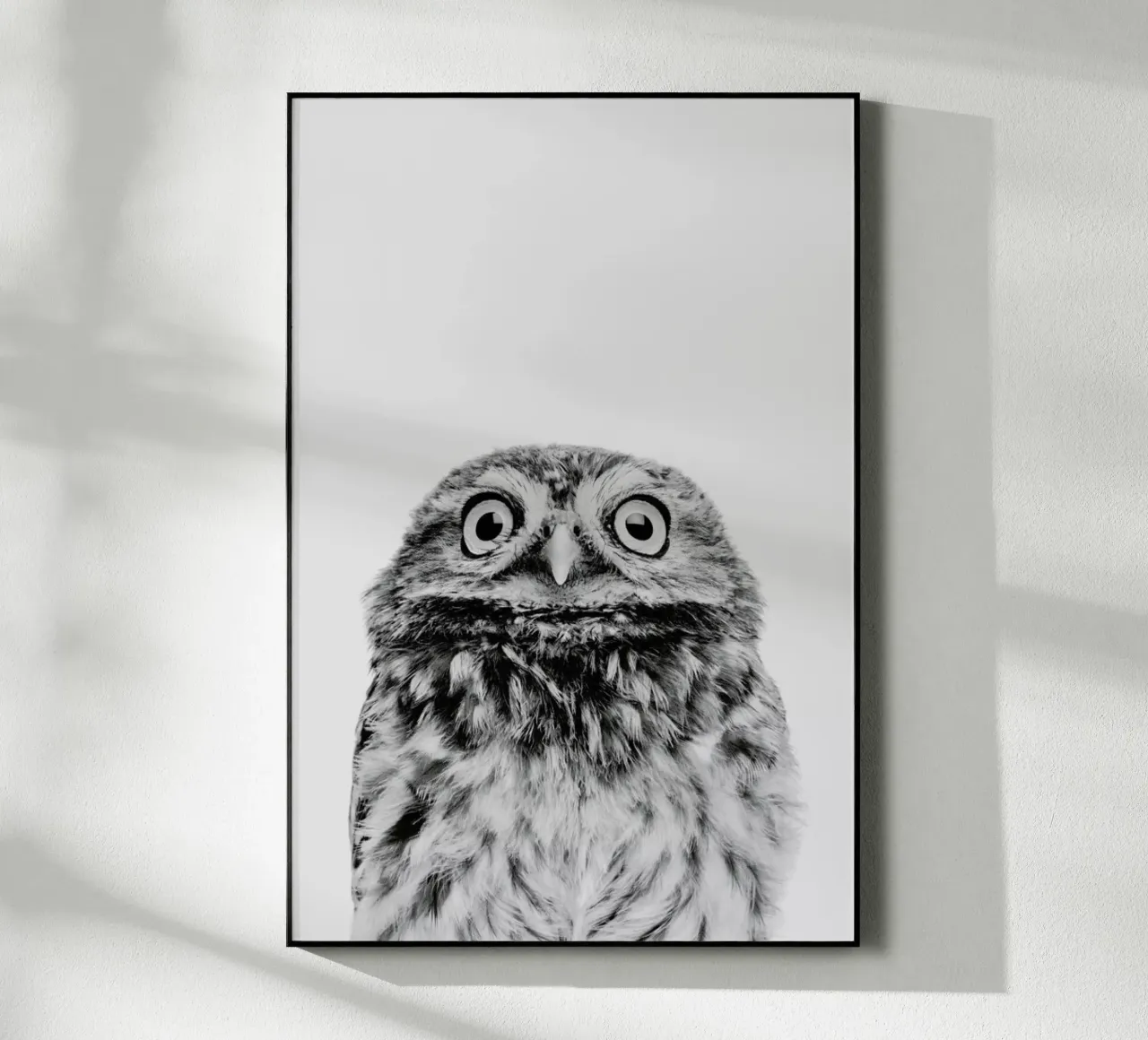 Owl Classic plexiglass da Paws & Claws