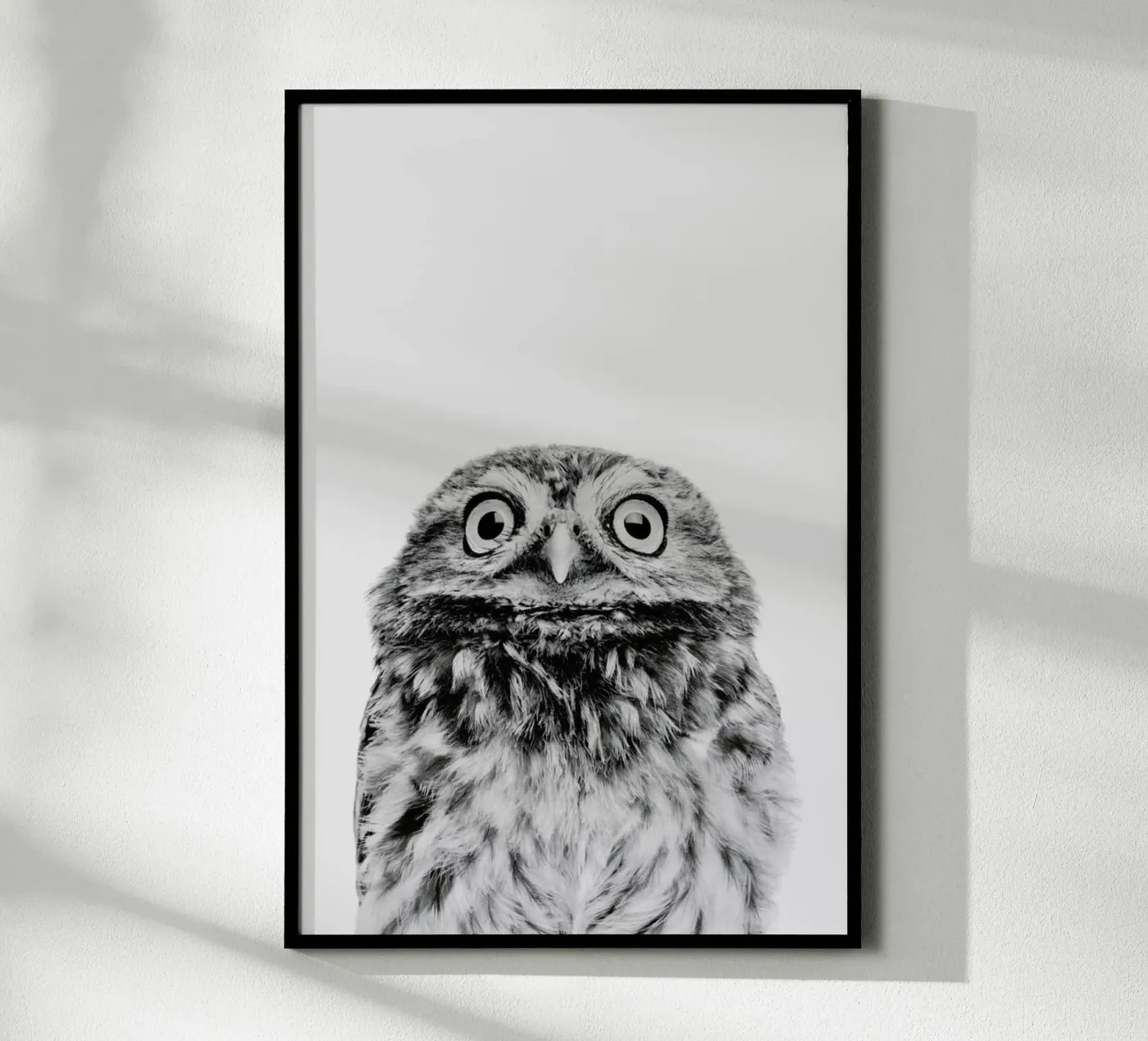 Owl Classic poster by Paws & Claws