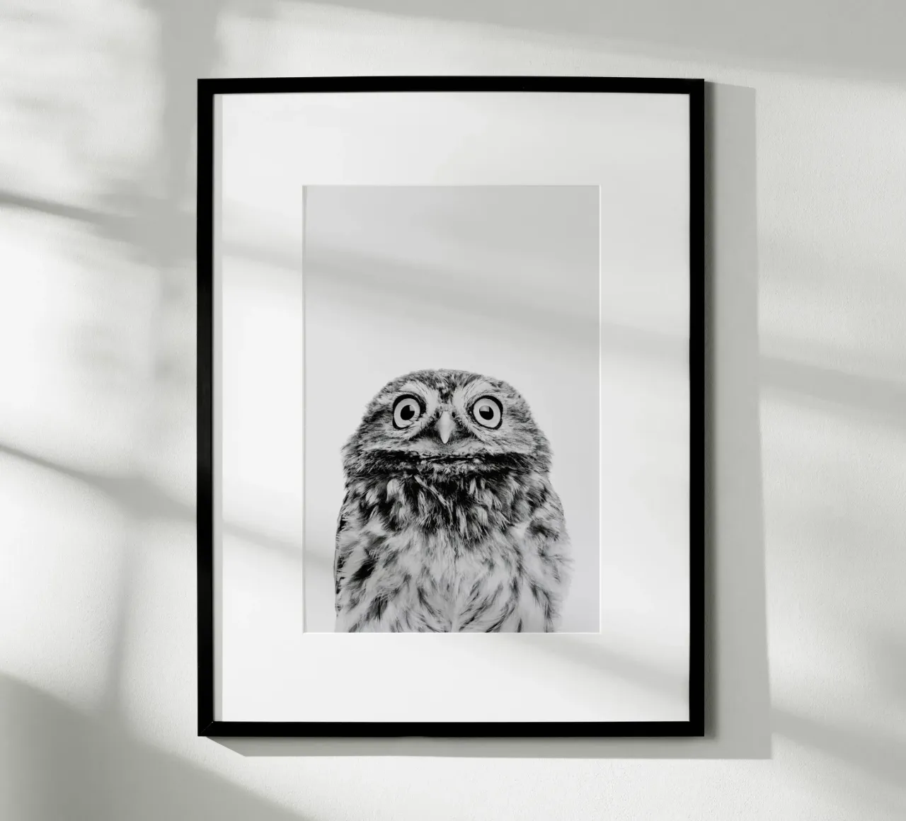 Owl Classic poster da Paws & Claws