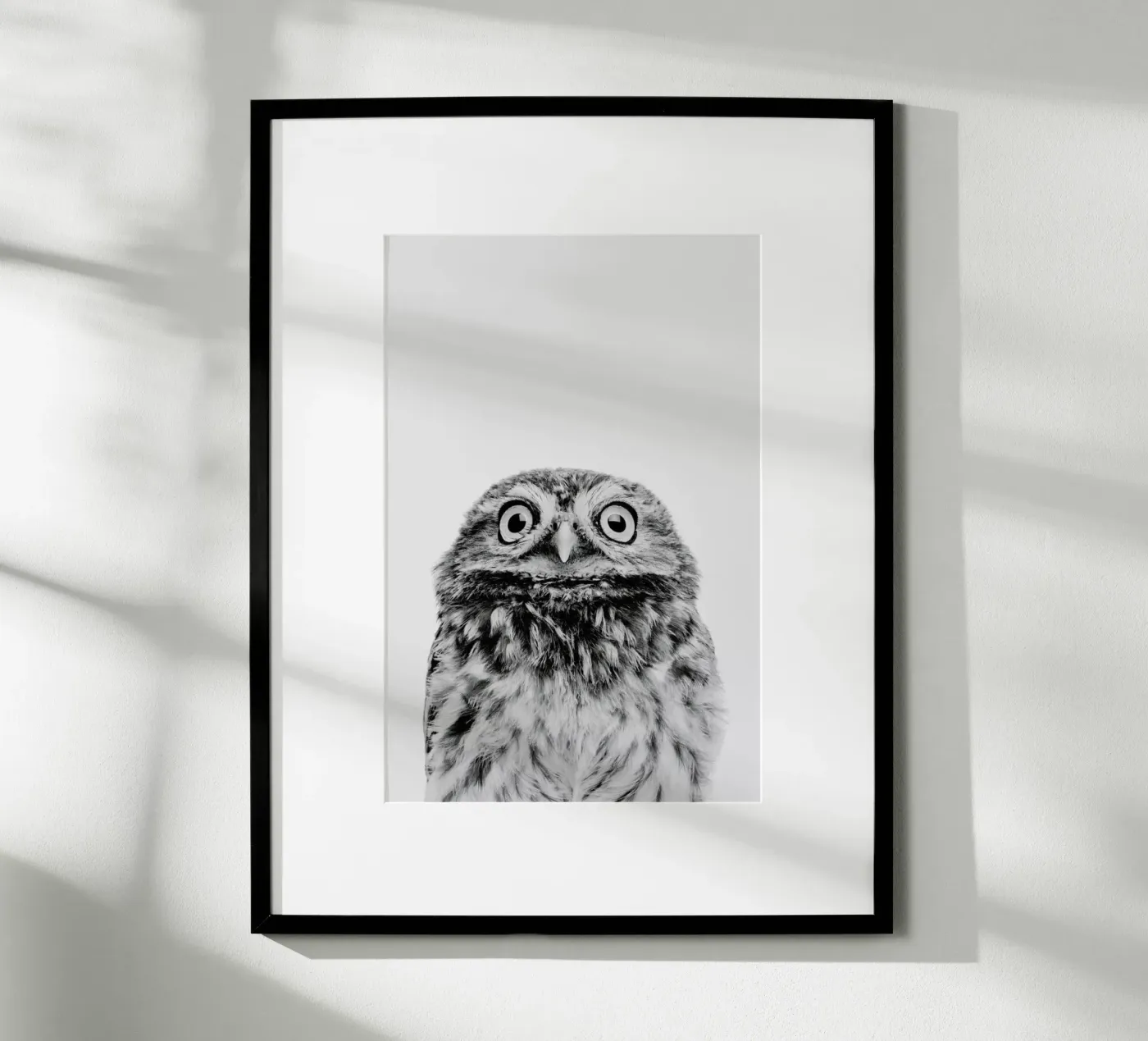 Owl Classic poster by Paws & Claws