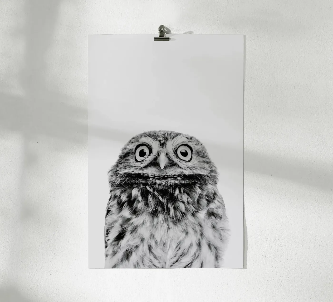 Owl Classic poster by Paws & Claws