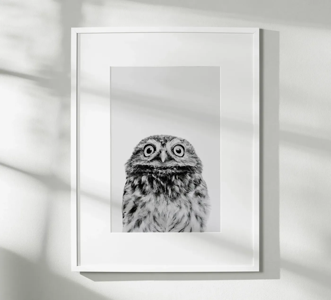 Owl Classic poster by Paws & Claws