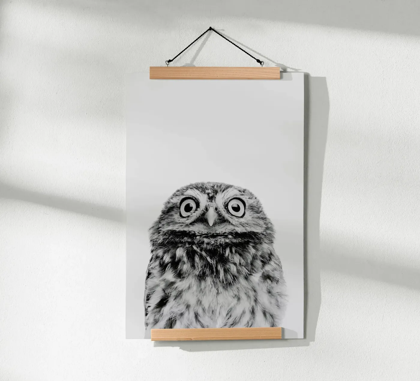 Owl Classic poster by Paws & Claws