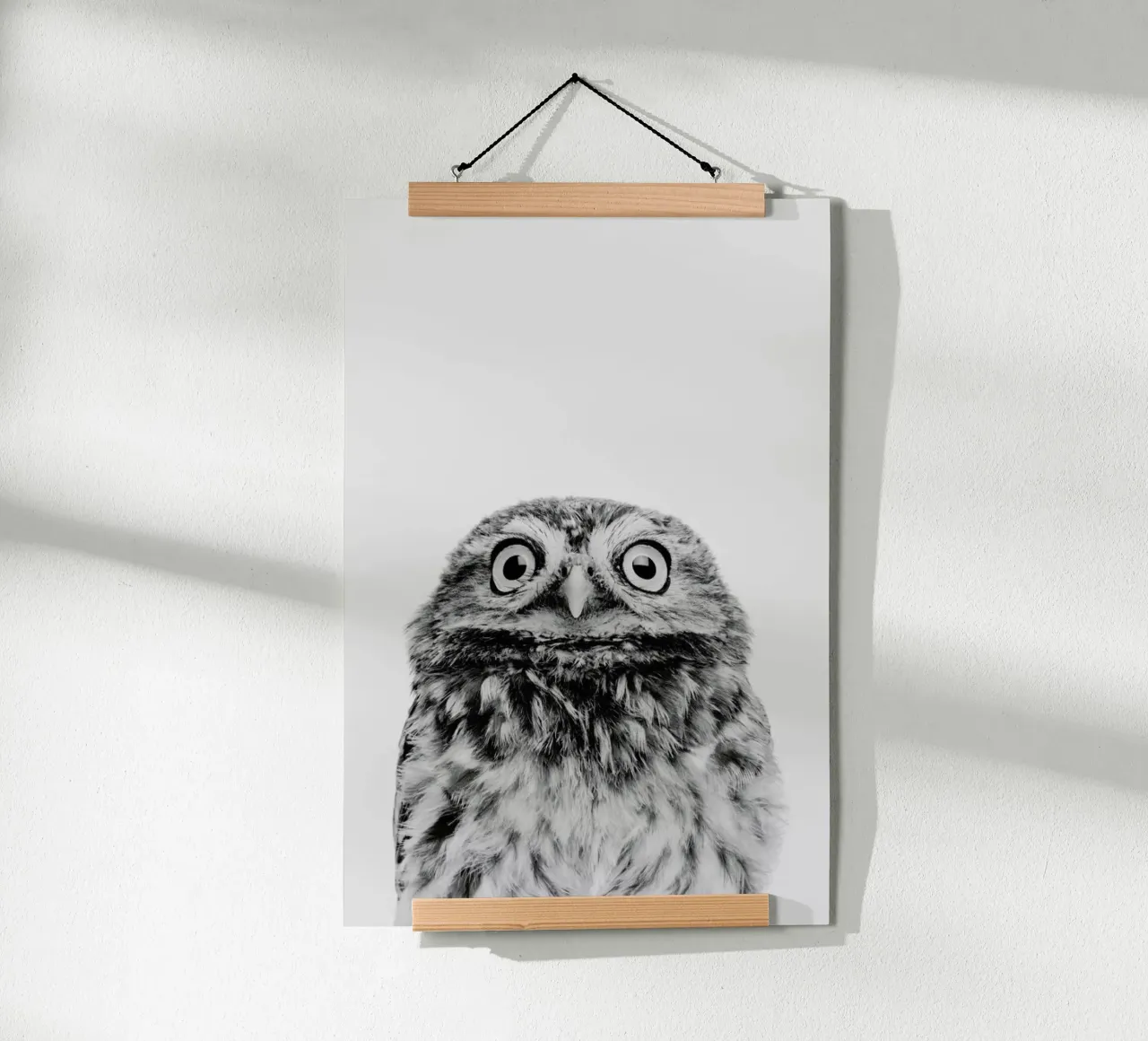 Owl Classic poster da Paws & Claws