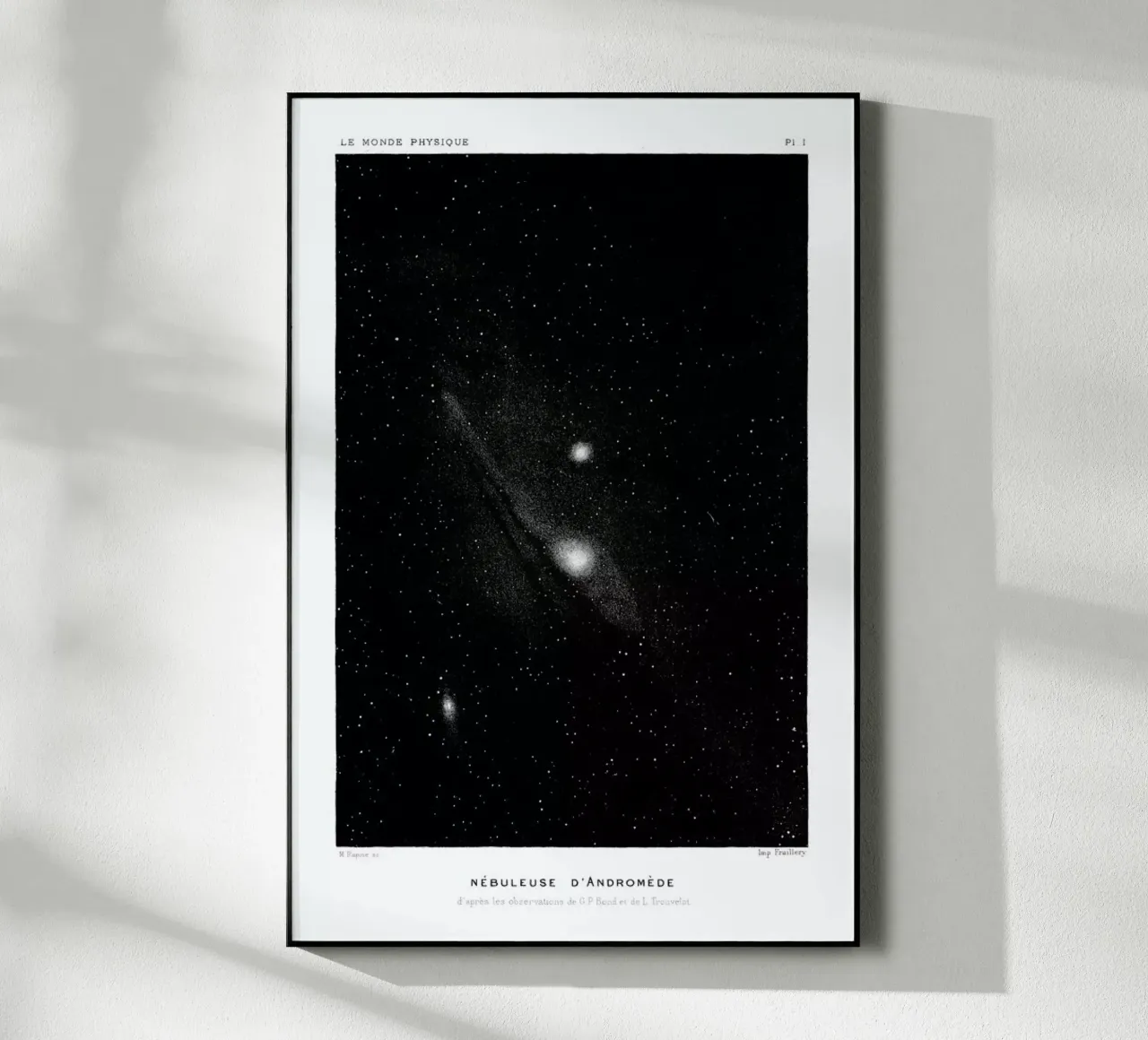 Le Monde Physique plexiglass da Flora & Fauna