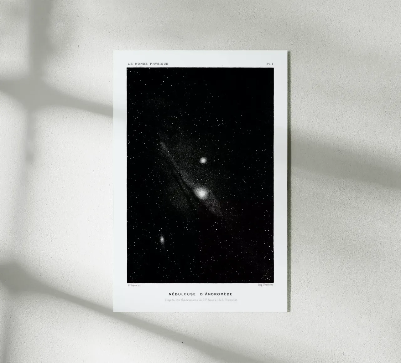 Le Monde Physique plexiglass da Flora & Fauna