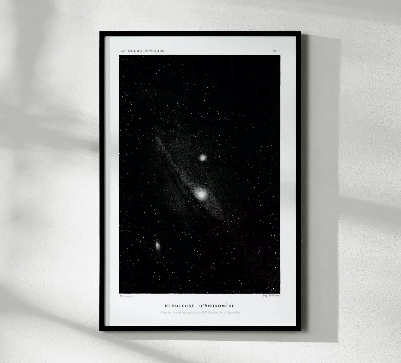 Le Monde Physique poster da Flora & Fauna