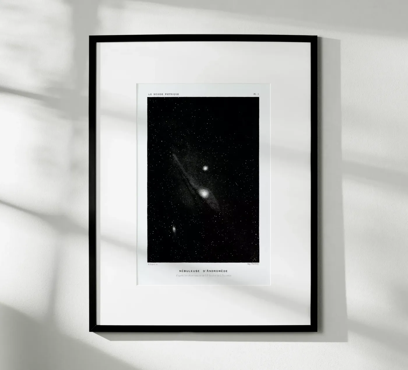 Le Monde Physique poster da Flora & Fauna