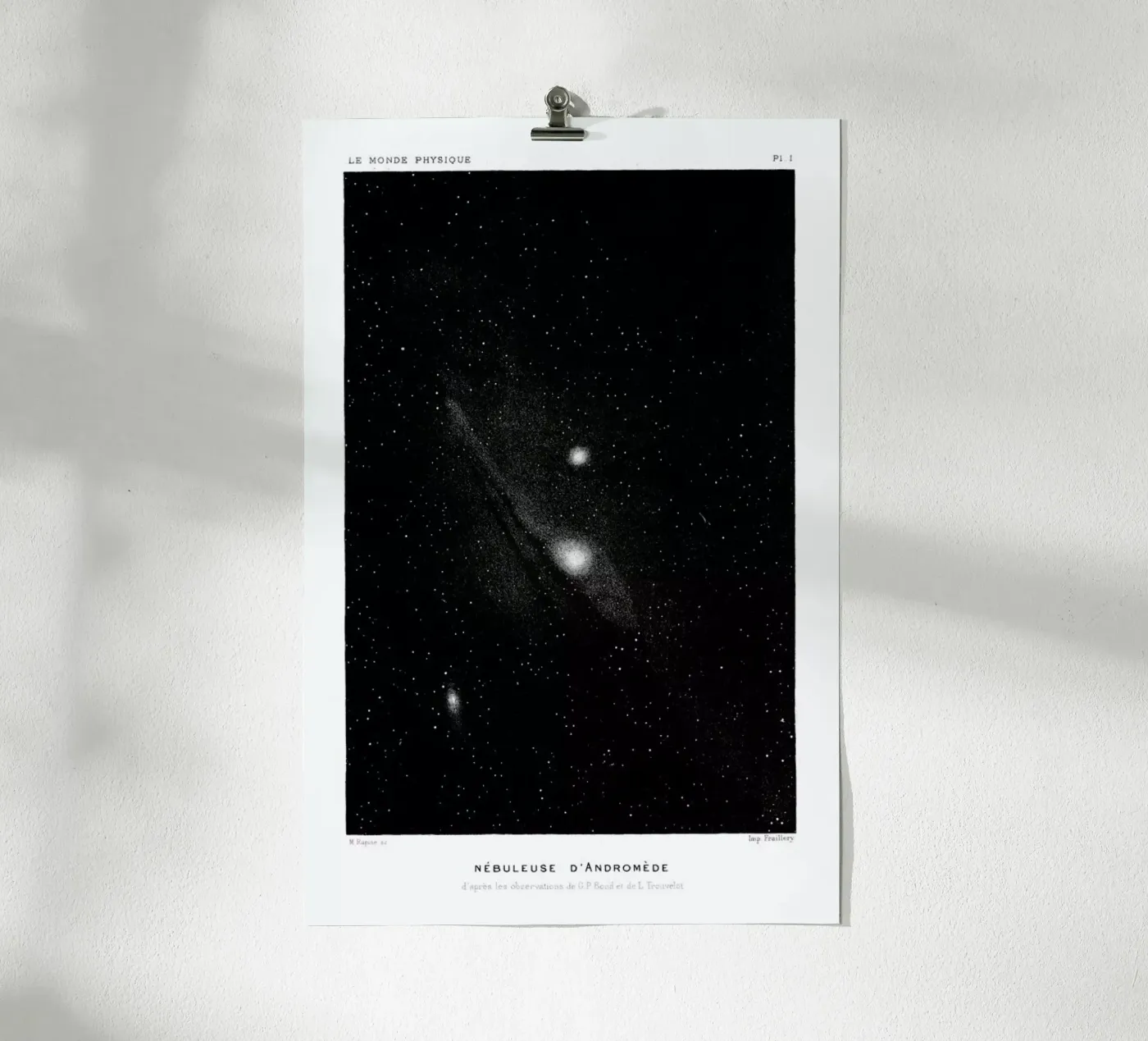 Le Monde Physique poster da Flora & Fauna