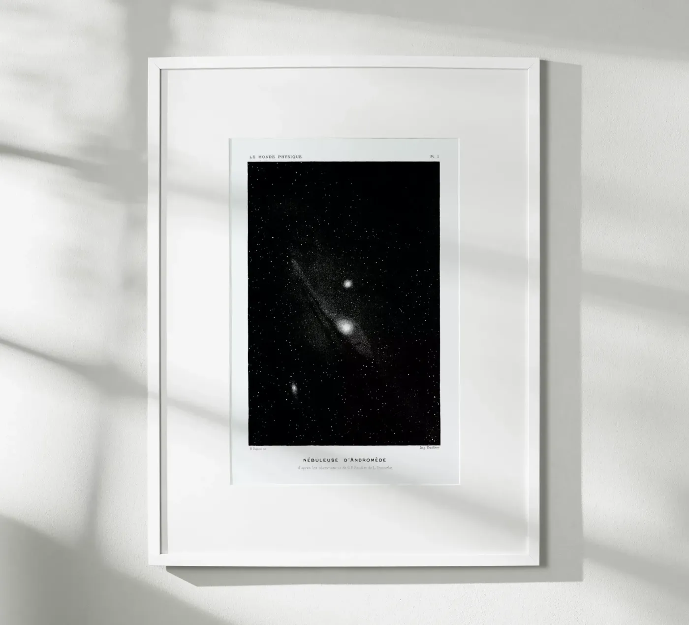 Le Monde Physique poster da Flora & Fauna