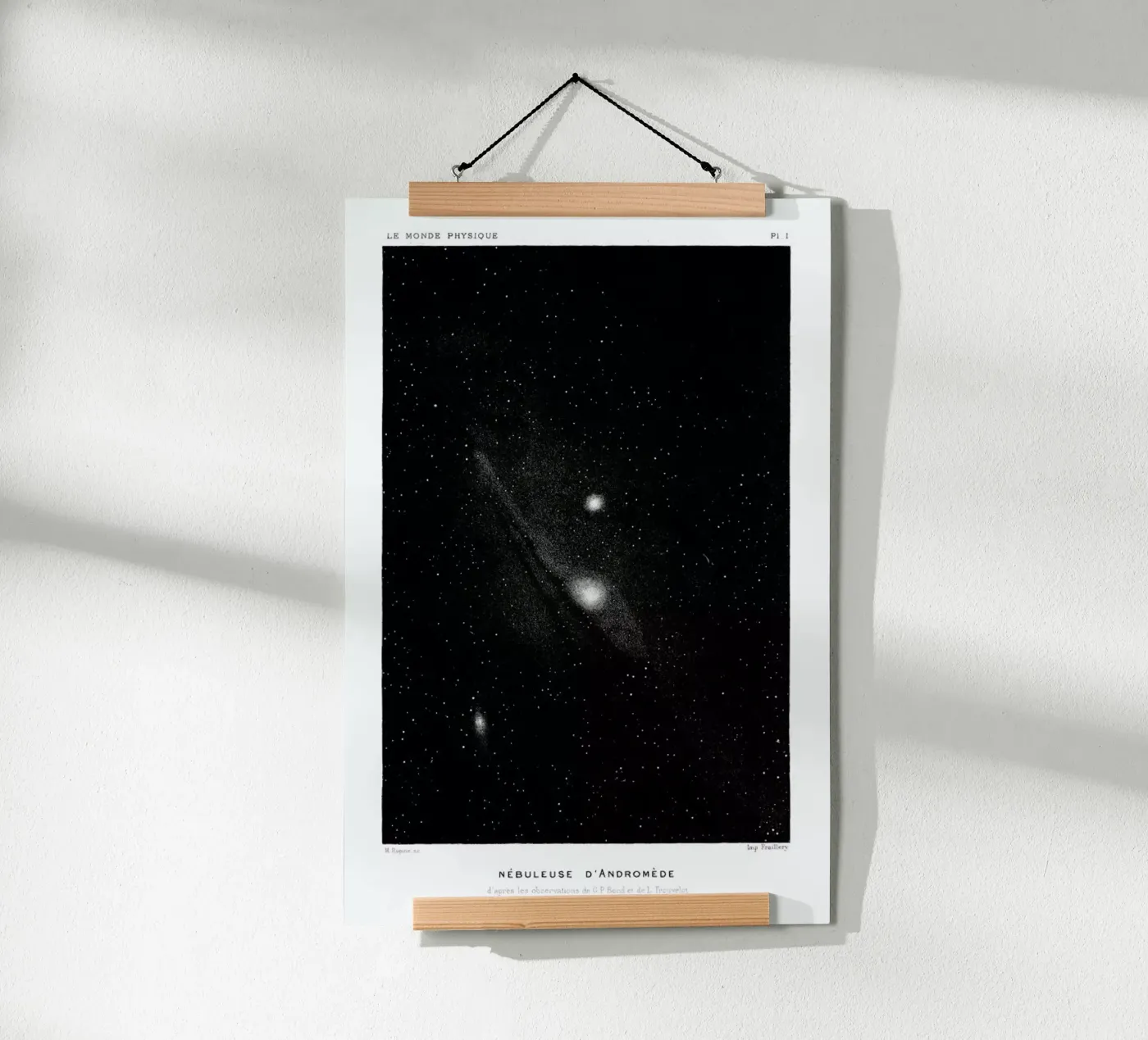 Le Monde Physique poster da Flora & Fauna