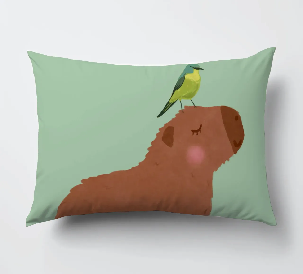 Capibara con uccello cuscino da Illustration Raissa Oltmanns