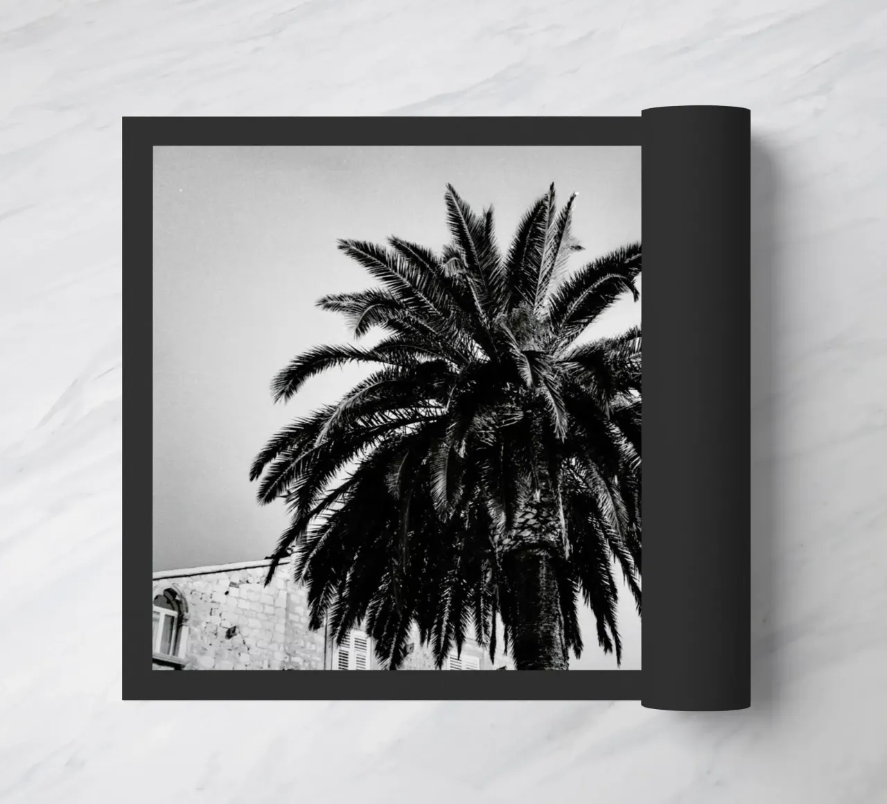 Black and White Palms zerbino da Sebastian Hilgetag