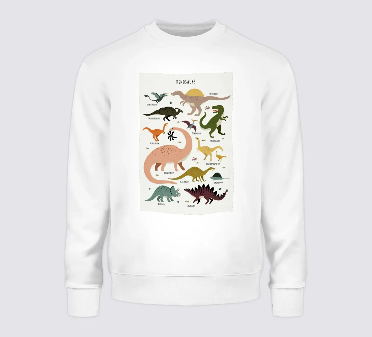 Dinosaur Friends felpa da Little Flourishes