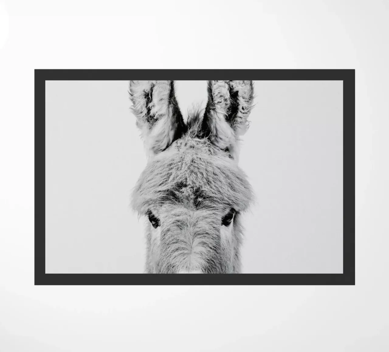 Donkey Classic zerbino da Paws & Claws