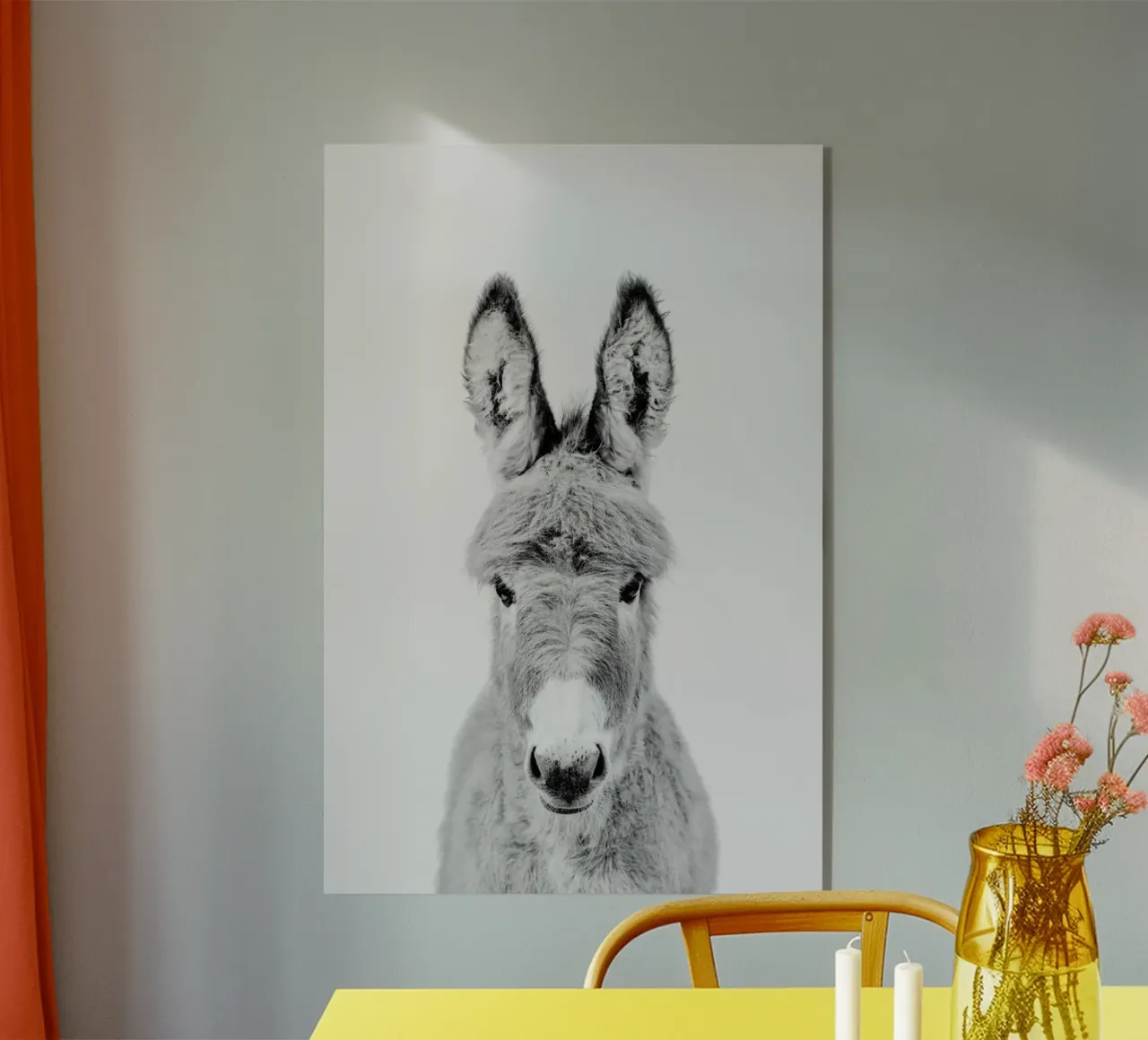 Donkey Classic plexiglass da Paws & Claws