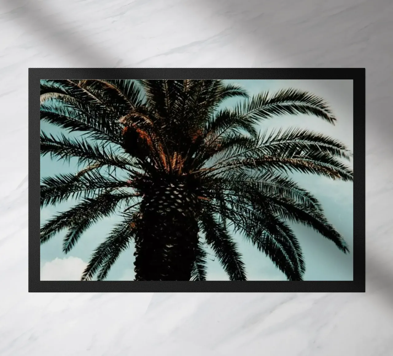 Paradise zerbino da Sebastian Hilgetag