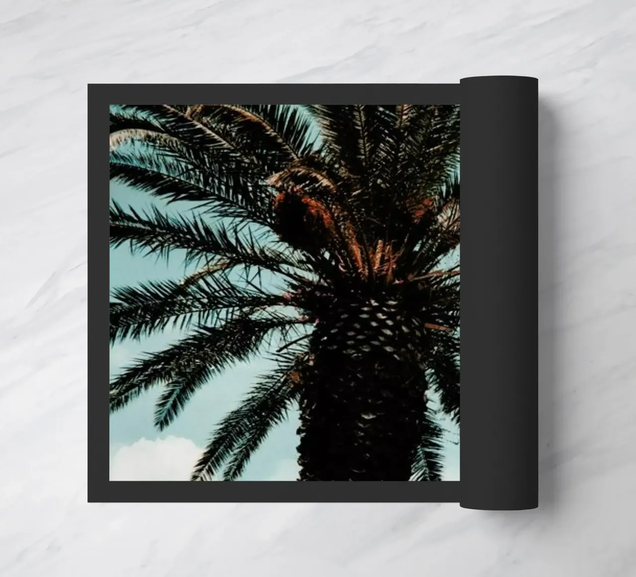 Paradise zerbino da Sebastian Hilgetag