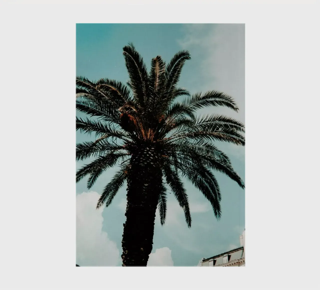 Paradise notebook by Sebastian Hilgetag