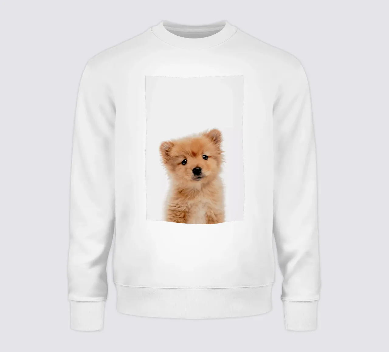 Puppy II felpa da Paws & Claws