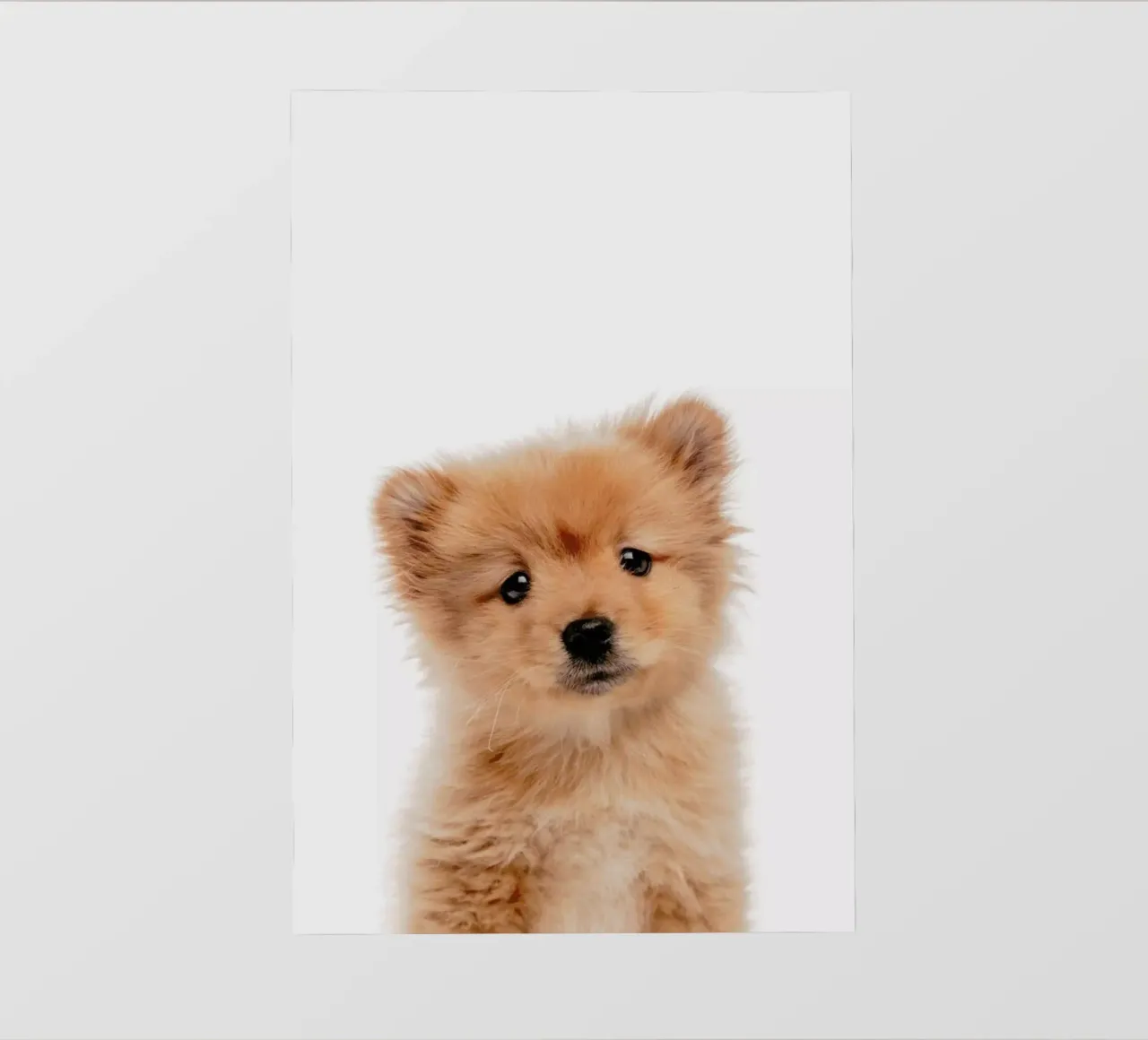 Puppy II pellicola backlit da Paws & Claws