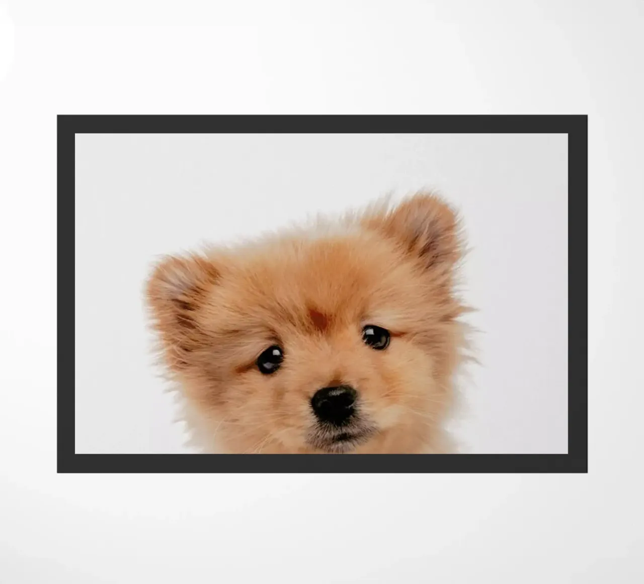 Puppy II zerbino da Paws & Claws