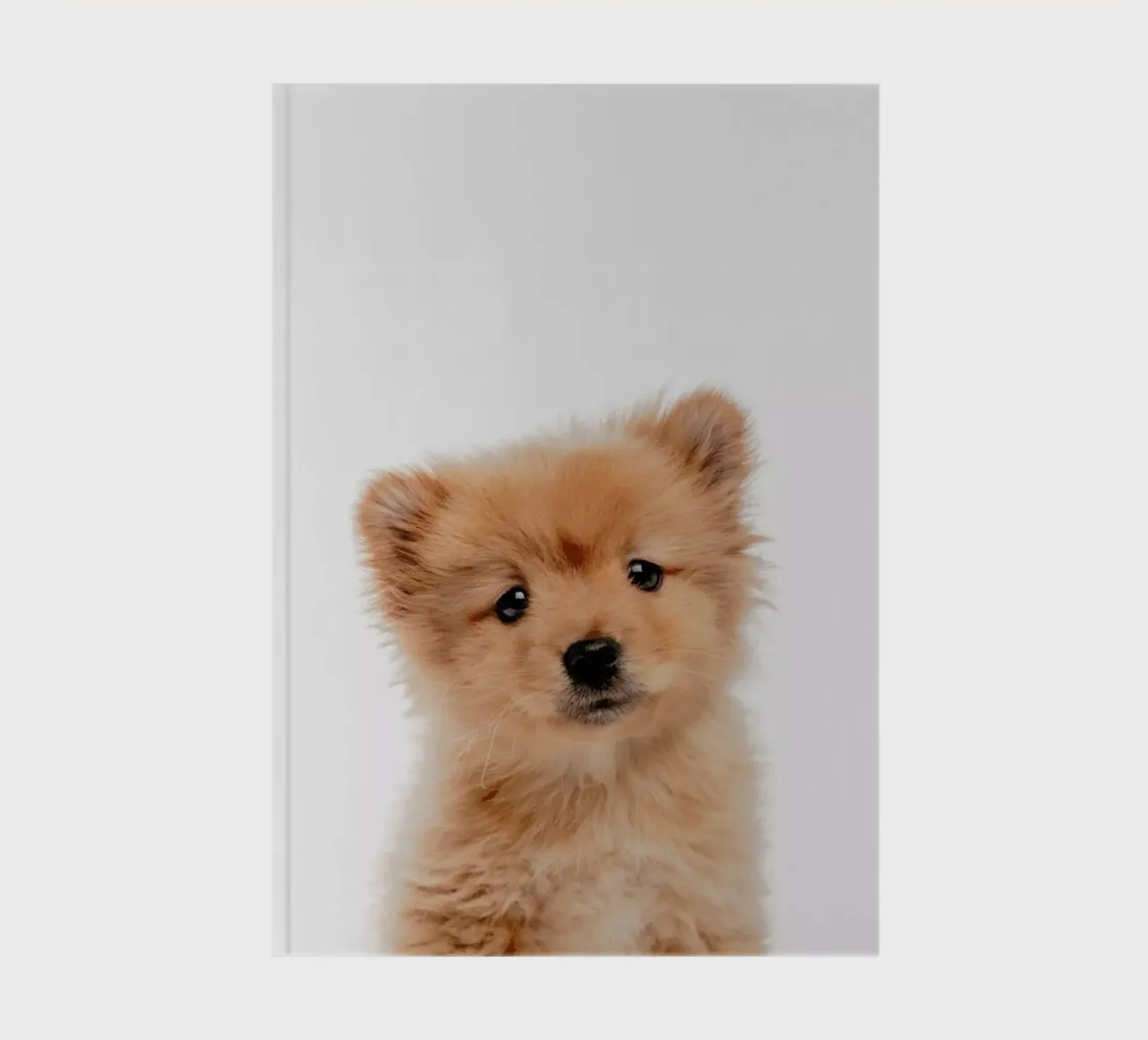 Puppy II notebook by Paws & Claws
