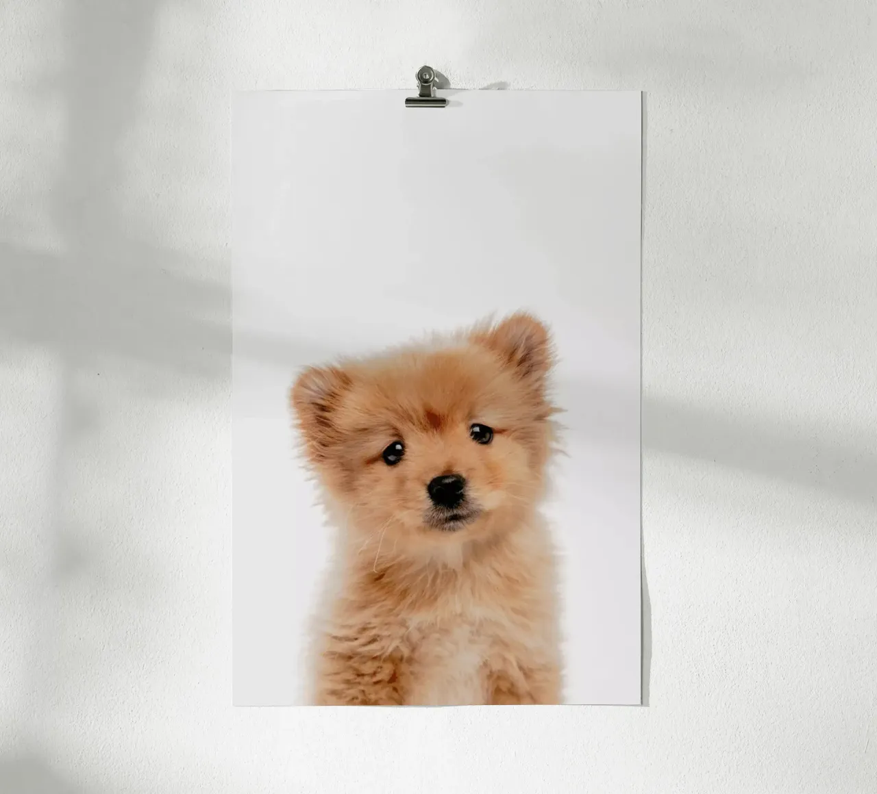 Puppy II carta hahnemühle da Paws & Claws